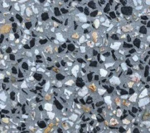 Dalmatian 50