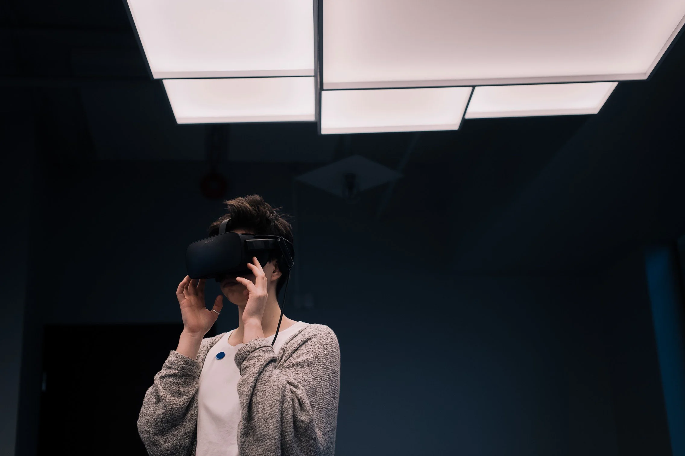 Virtual experience of the most advanced digital society.jpg