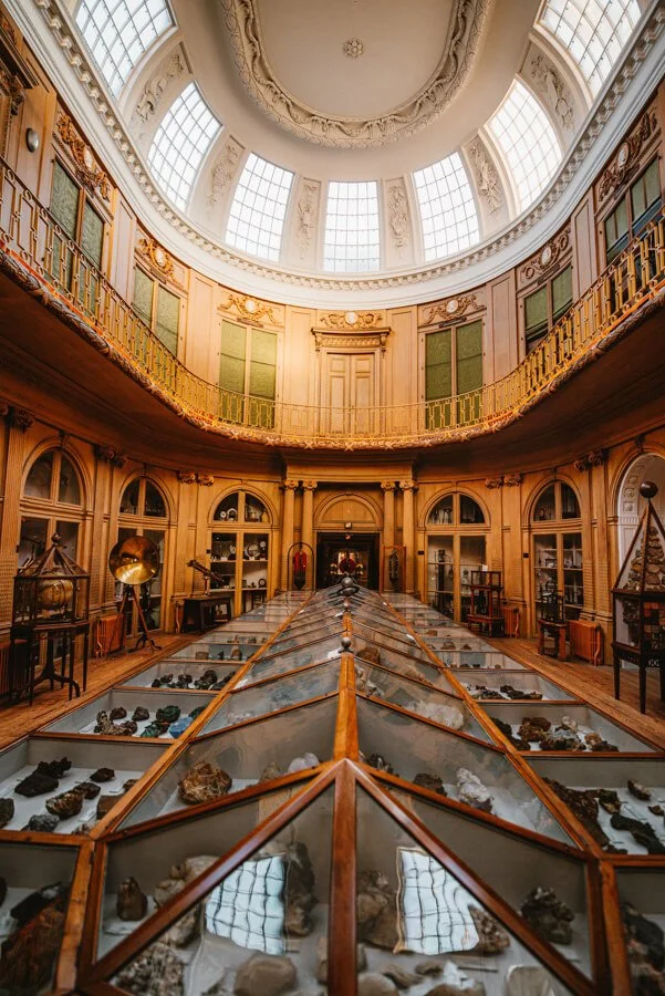 Inside the Teylers Museum Haarlem, a large domed ceiling with windows, ornate woodwork, and display cases filled with rocks and minerals.