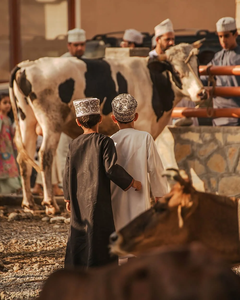 Two young boys wearing traditional Islamic caps view a cow at a marketplace or farm, with several adults and other children in the background, and a second cow in the foreground. Taken during the goat market in Nizwa, Oman.