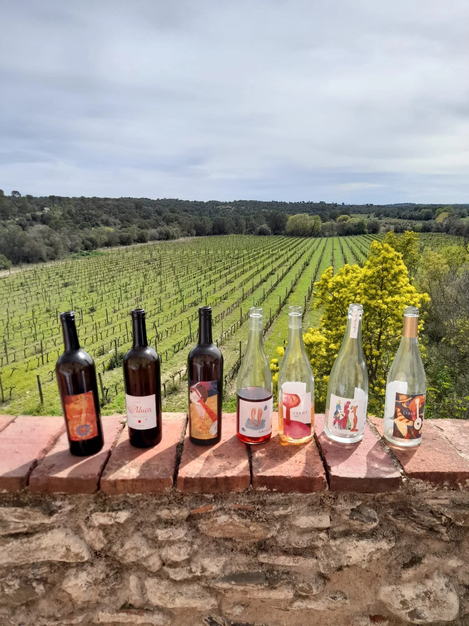 WhatsApp Image 2024-10-08 at 21.05.38.jpeg