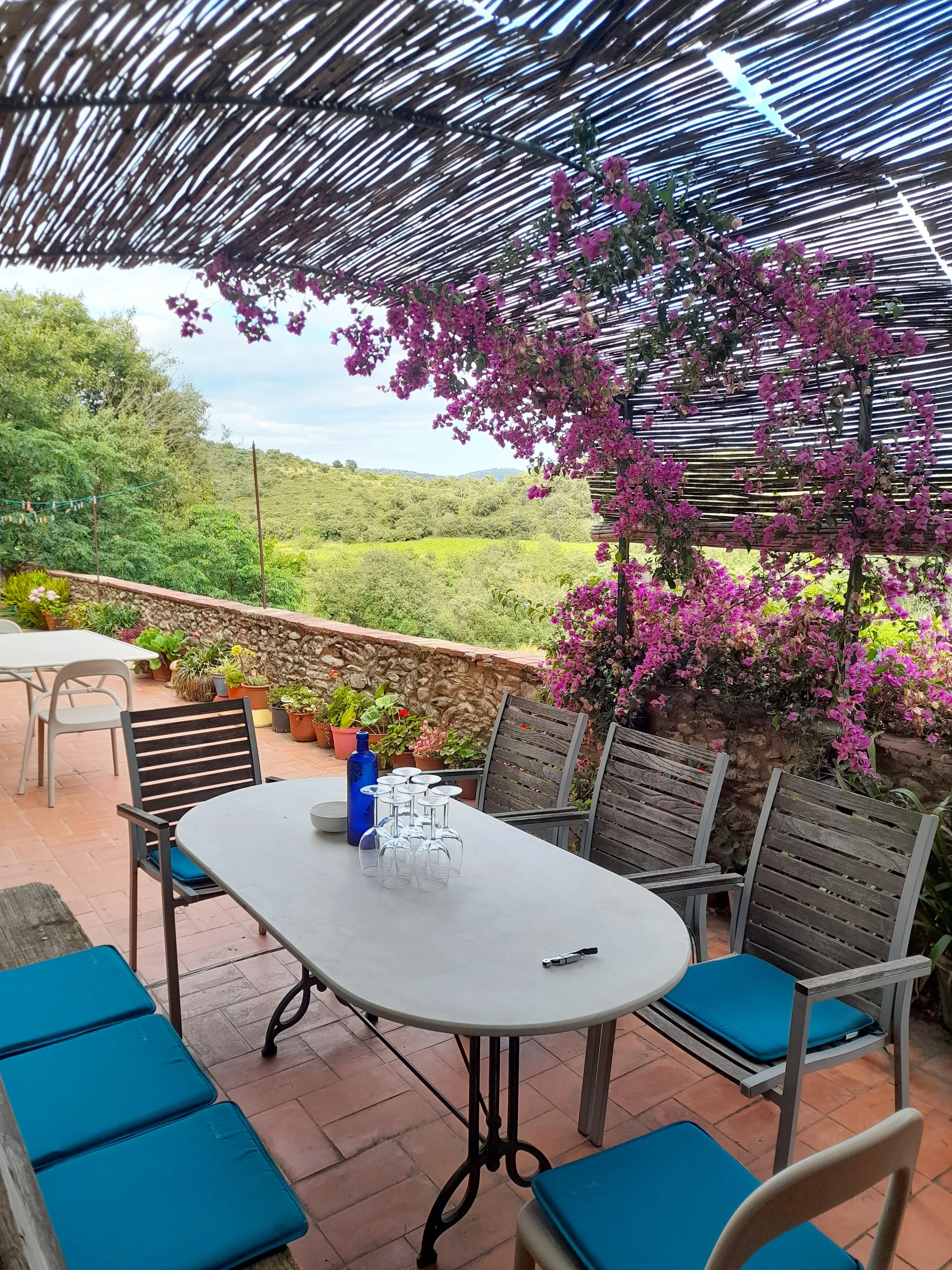 Experiencia en Castelló Murphy