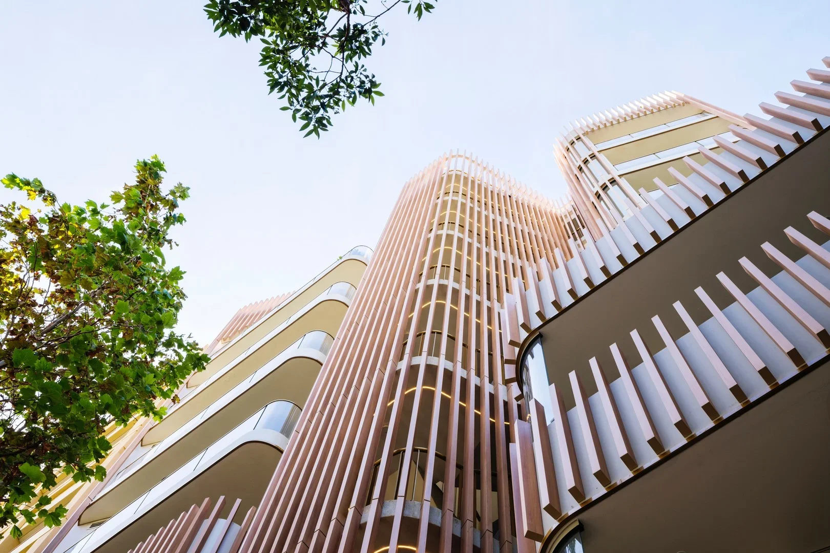 Calibre, Surry Hills 