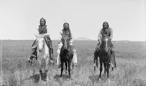 Lords of the Southern Plains: The Rise and Fall of the Comanche Horse Nation