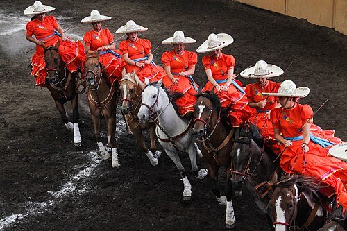 Escaramuza: Women, Horses, and Tradition in Mexico’s Arena