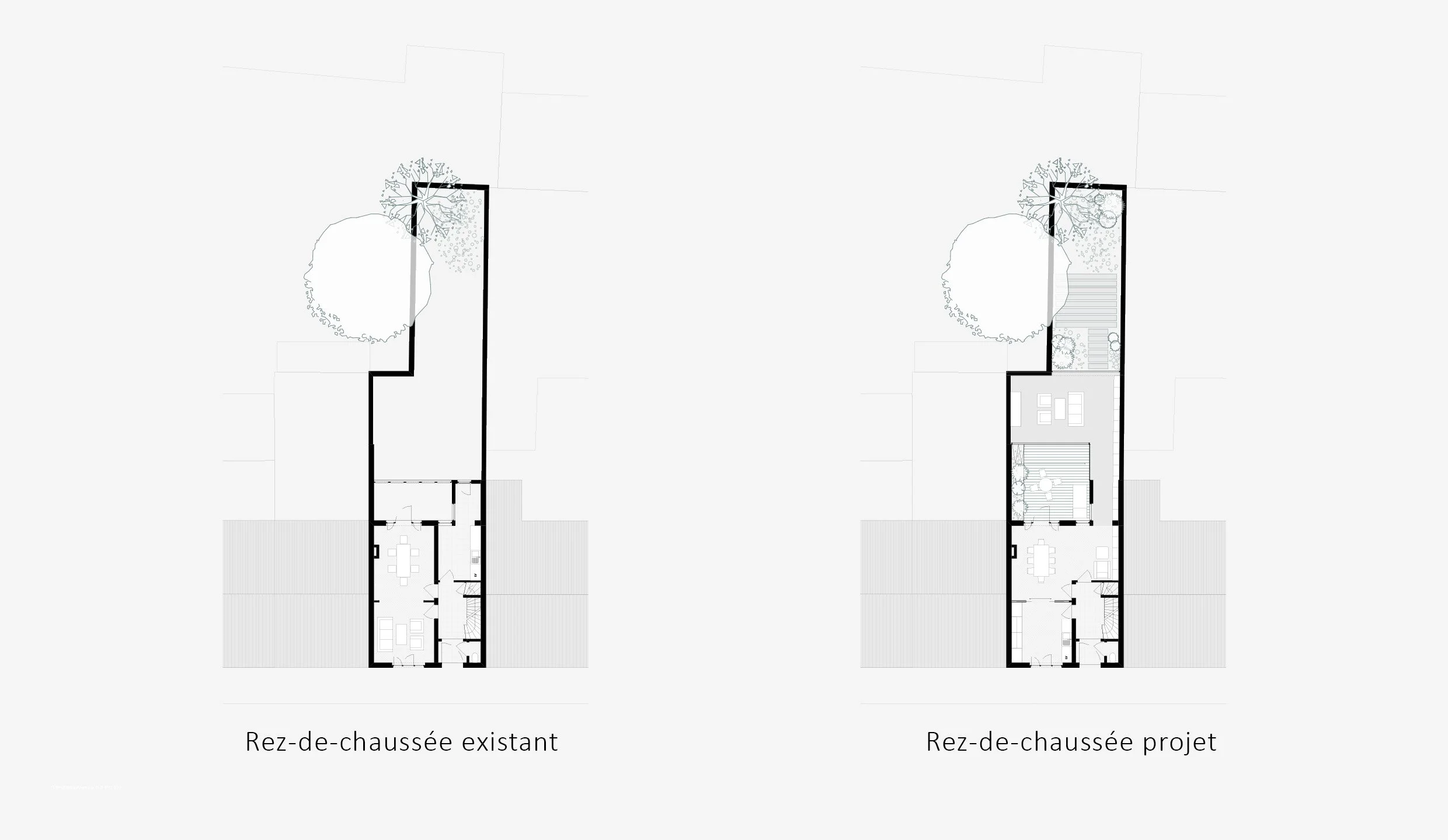 05.2 PLANS RDC copie.jpg