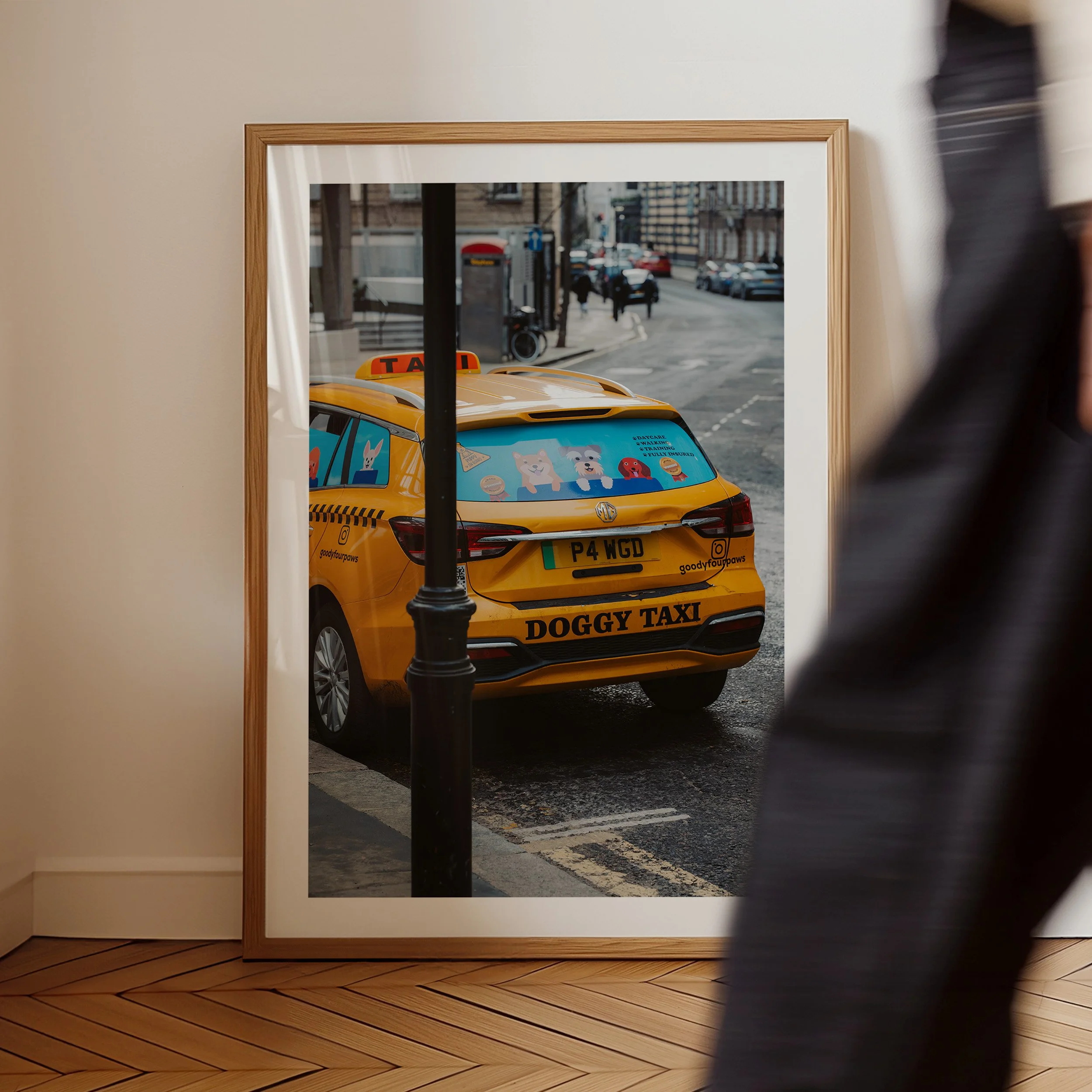 Doggy Taxi mit Rahmen.jpg