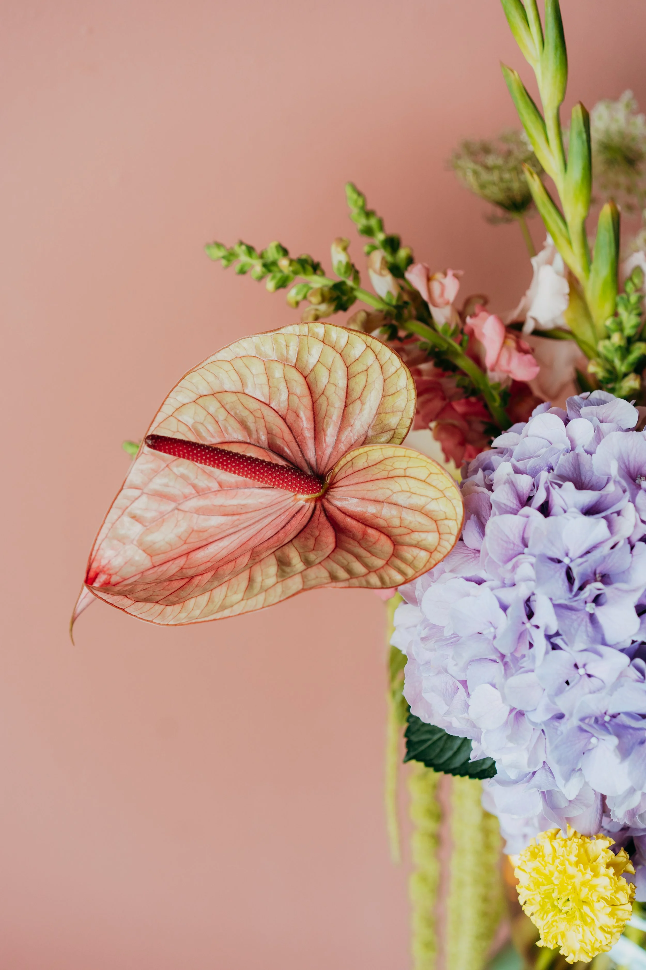 © Florian Kroll - Blumen-10.jpg