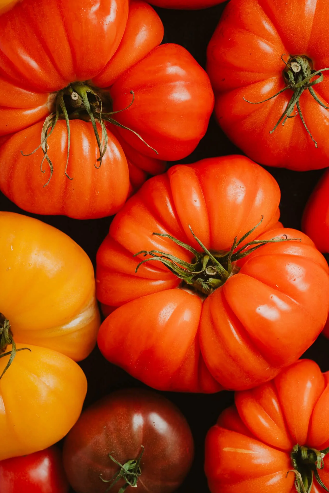 Studio Kroll, Florian Kroll, Pots, Food-Fotografie, Restaurant-Fotografie, Hospitality photography, Restaurant photographer-1.jpg