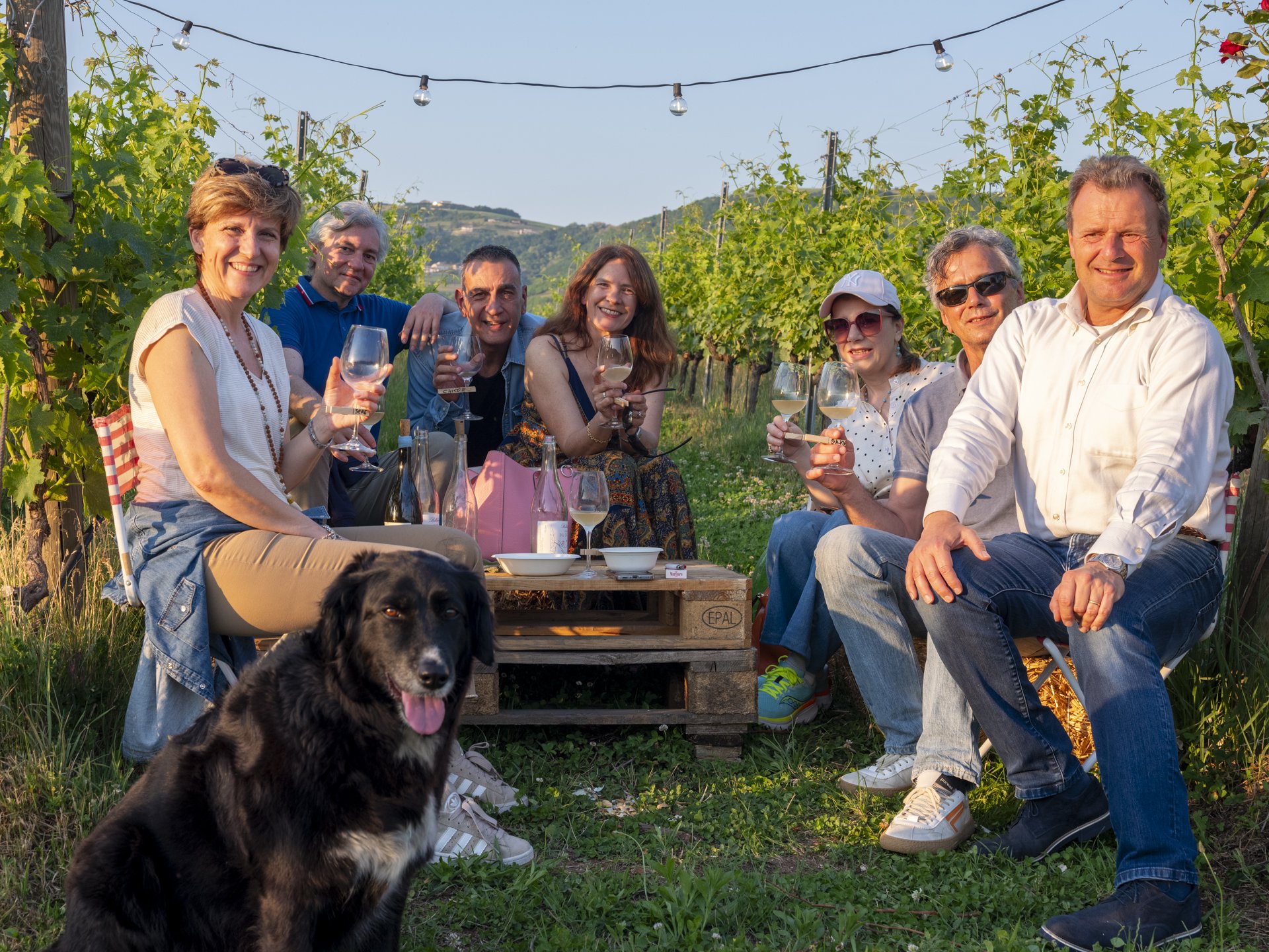Un gruppo di sette persone sorride e brinda con bicchieri di vino in un vigneto durante il tramonto, accompagnati da un cane di razza border collie nero e bianco.