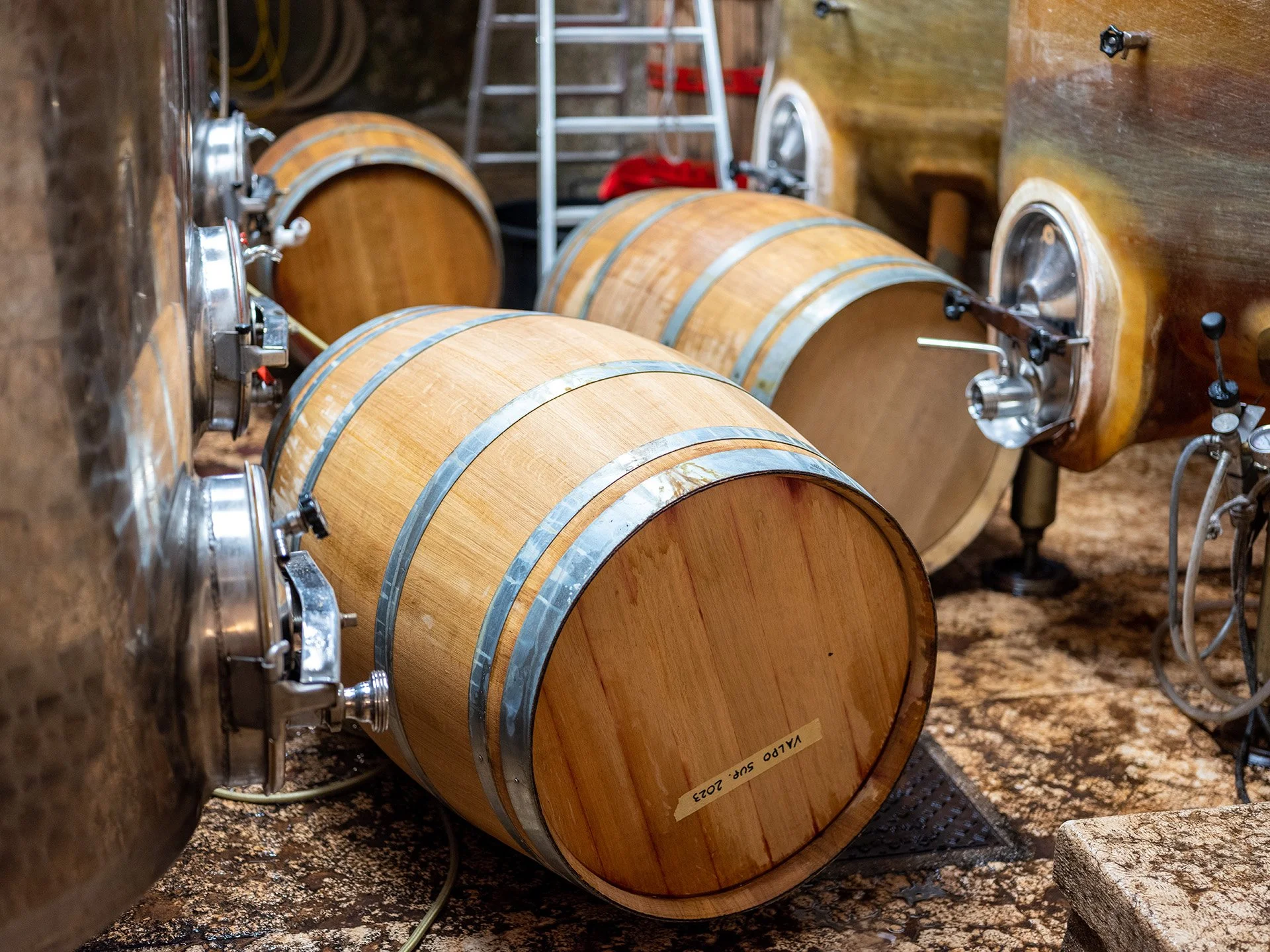 Barili di legno impilati in una cantina o cantina sotterranea, con attrezzature di vinificazione e una scala in acciaio in background.