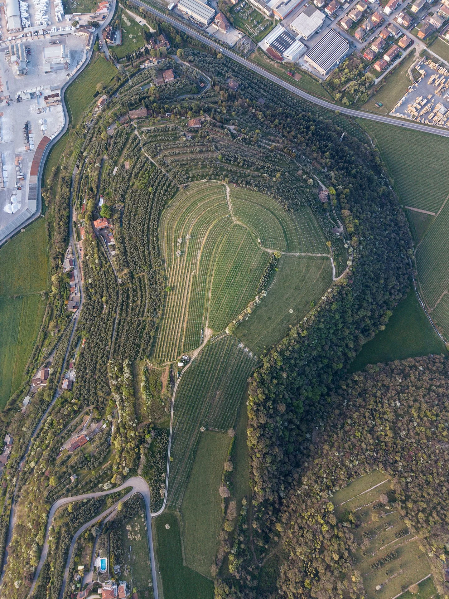 Aerea di un paesaggio con tanto verde, alberi e una zona di campagna con vigneti irrigati. In alto a destra, edifici industriali e residenziali.