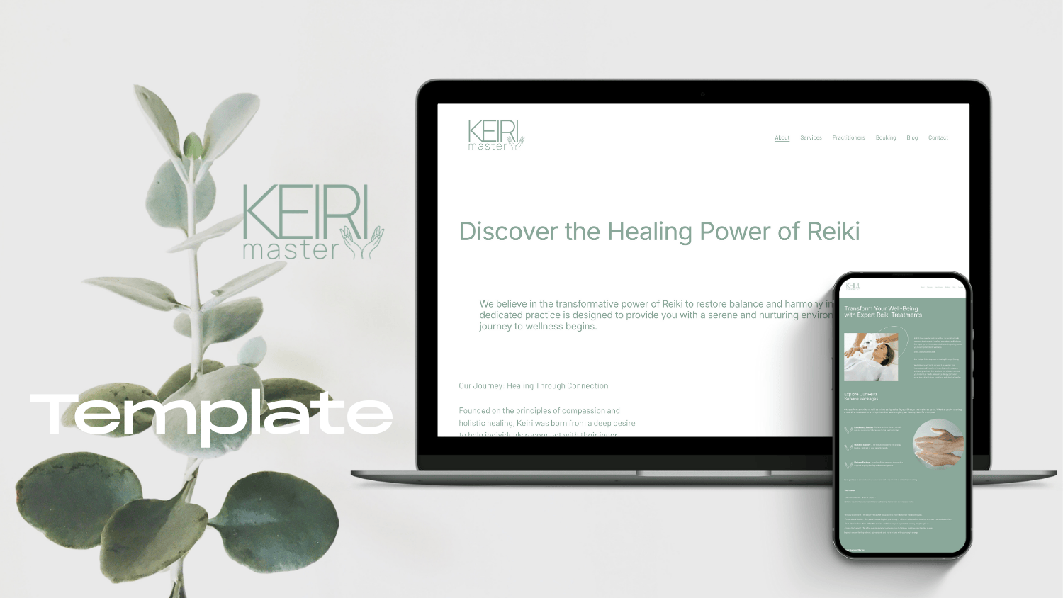Squarespace Templates Shop