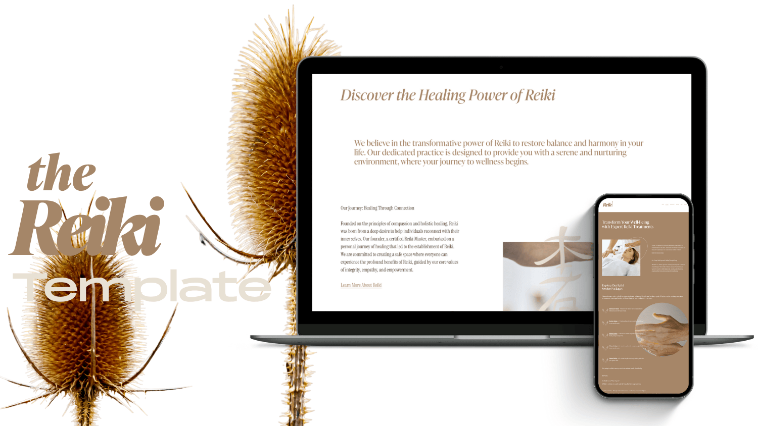 Squarespace Templates Shop