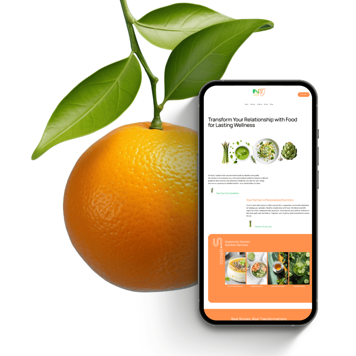 Squarespace-Template-7.1-Inuto-02.png