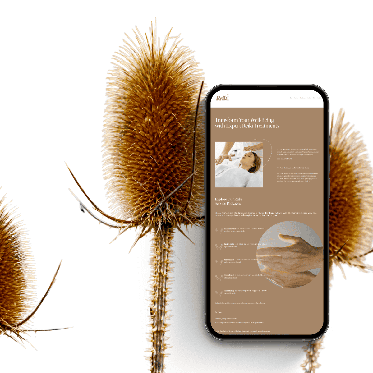 Squarespace-Template-7.1-Reiki-03.png