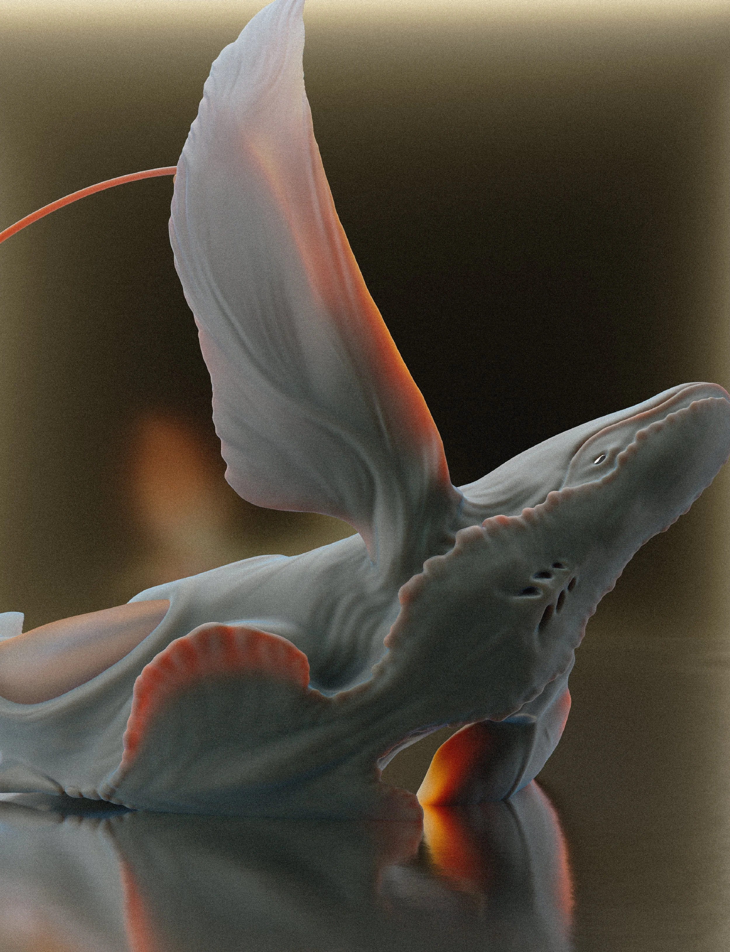 0055.2 convergence - Yang