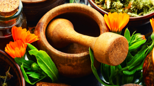 Plant Medicine for Mind and Body: Dandelion, Heartsease, Mullein, Valerian &amp; Jasmine