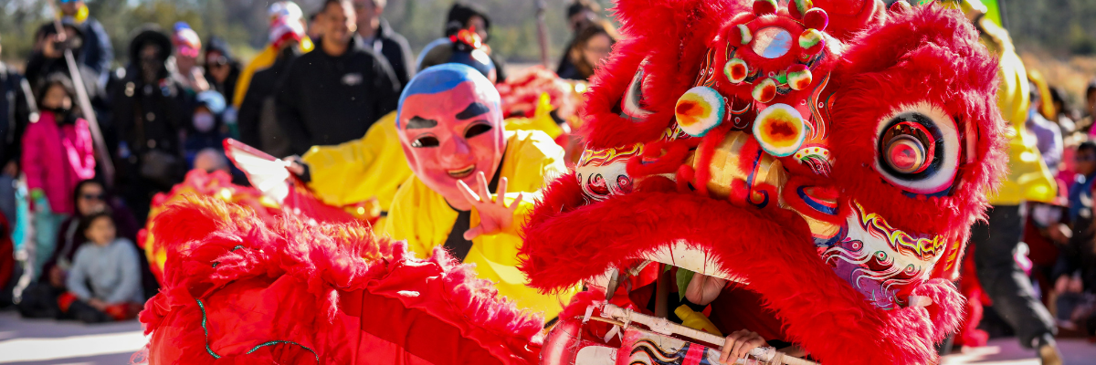 An elaborately decorated Chinese new year dragon and performer.