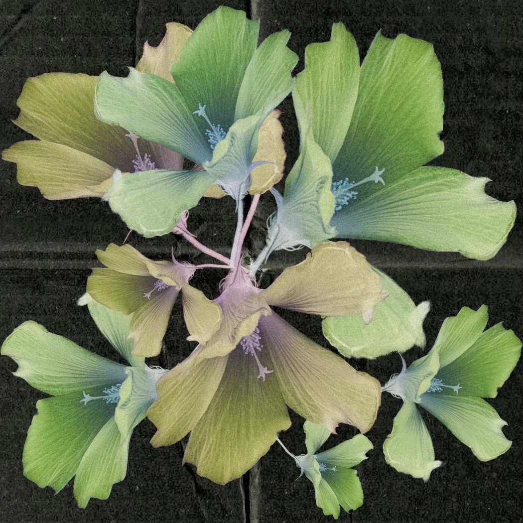 78586BAB-5ADE-4DAC-BB9C-14720728CC88 copy.jpeg