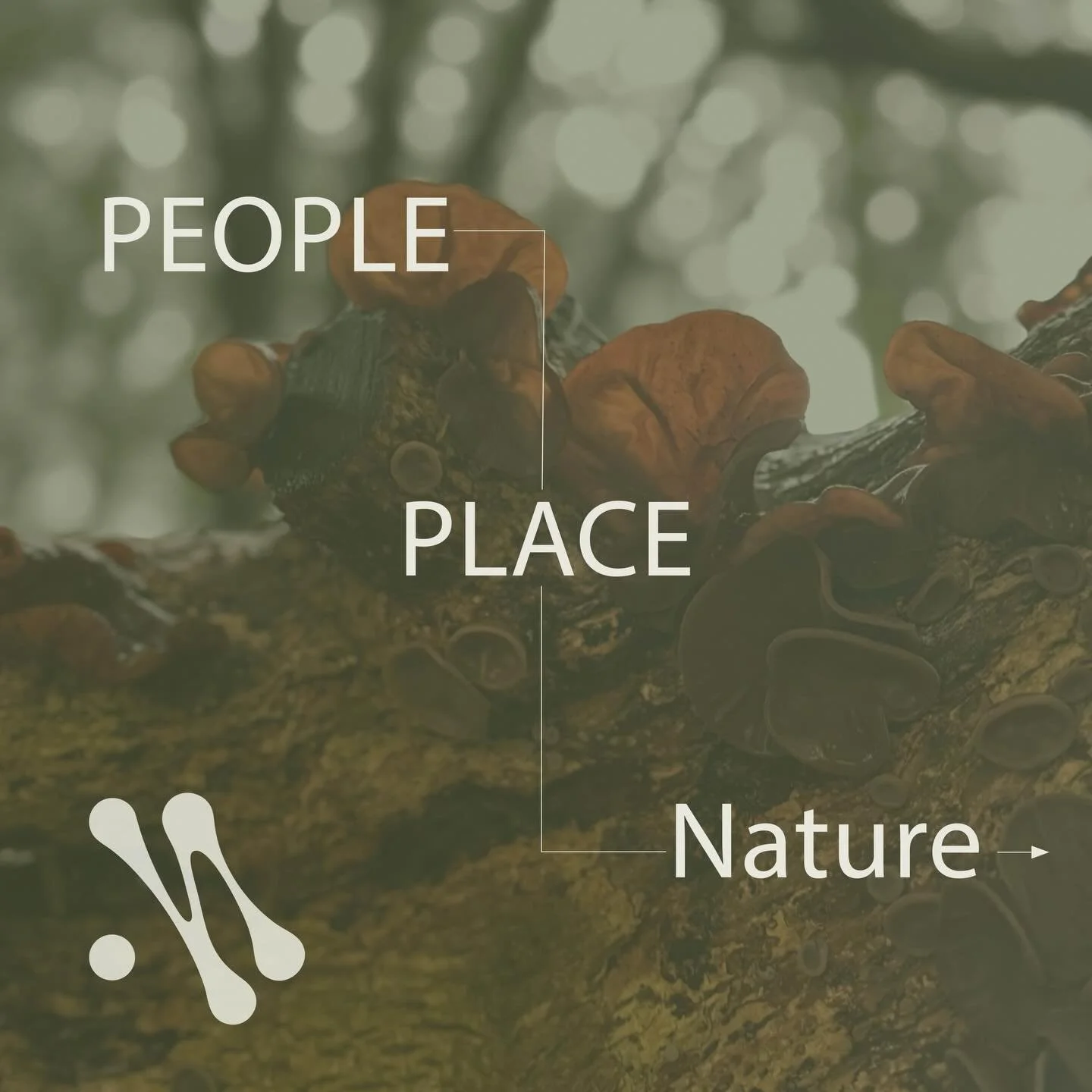 Encounters from the week ✏️ 🖼️ 🍄&zwj;🟫 

People: 10 years 
Place: Basildon House 
Nature: fungus brings joy 
 
#People
#Place 
#Nature