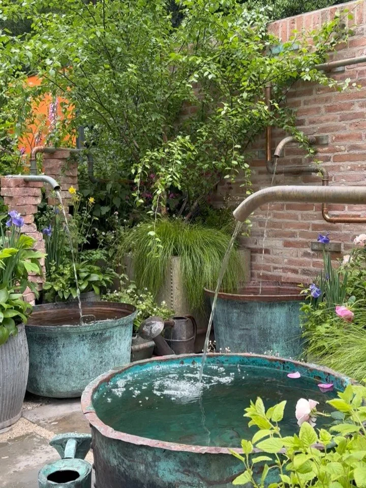 What an incredible first @the_rhs Chelsea experience! Thank you to Ollie of @pikestudio.landscape for asking me to help with the final days, it was truly an honour to play a small part in your wonderful @whittardofchelsea1886  Container Garden! 

I c