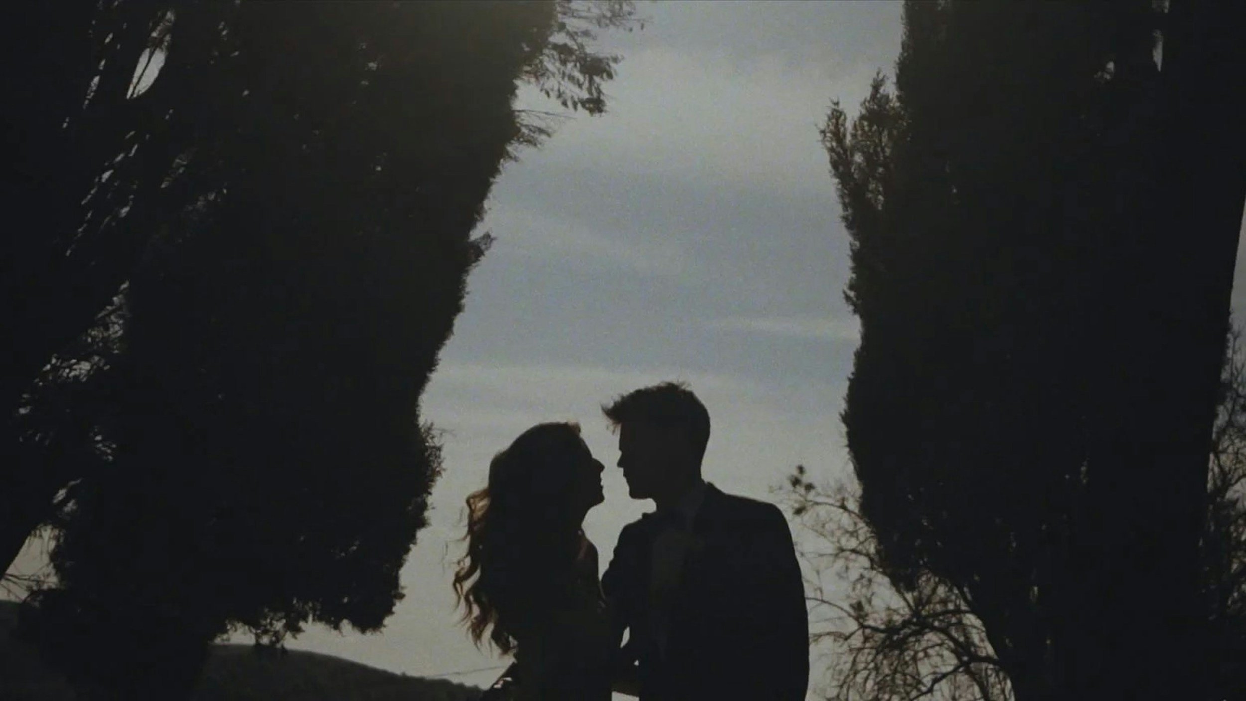 Silhouettes of a man and woman facing each other in a romantic pose between two tall trees during dusk