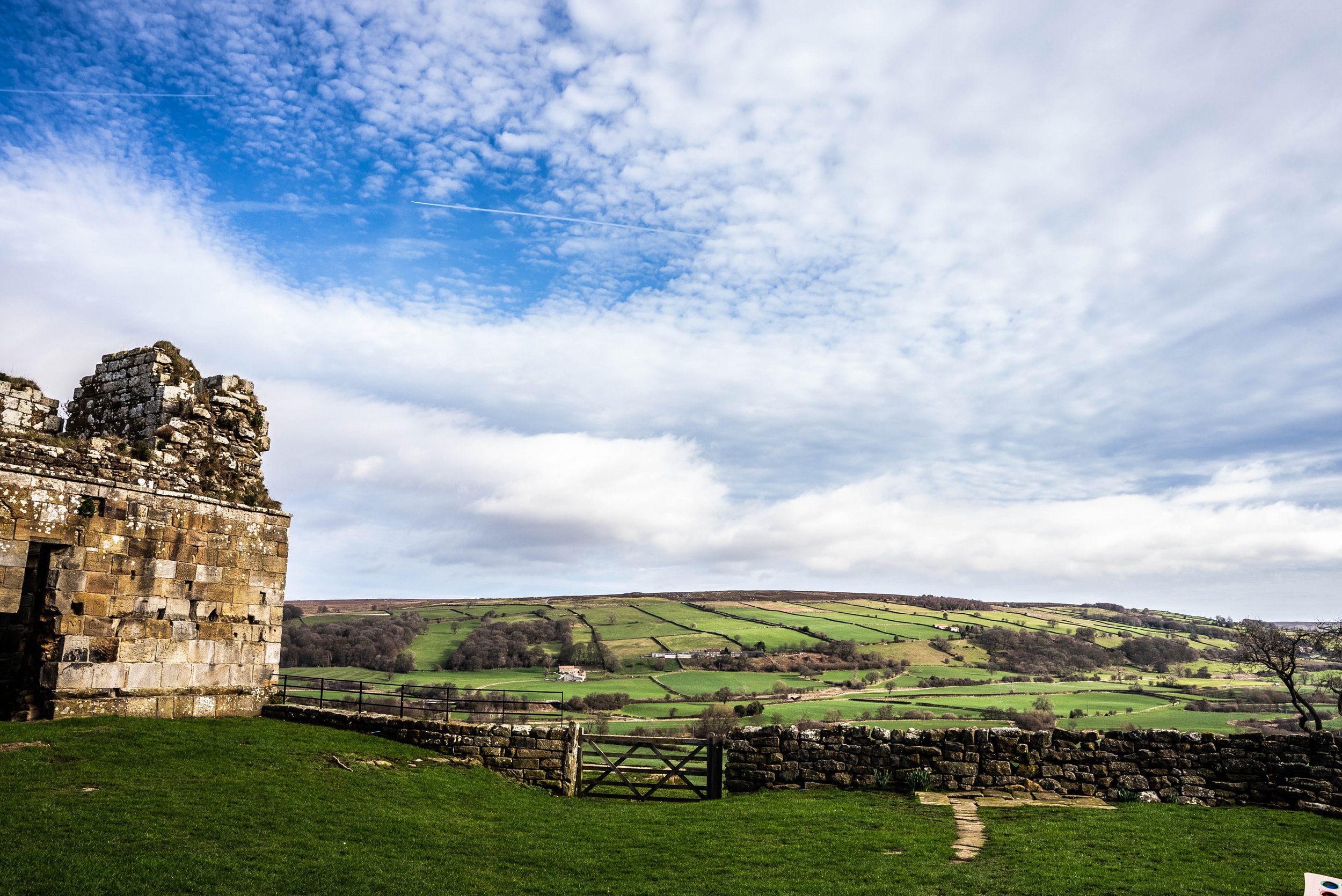 DSC06131.jpg