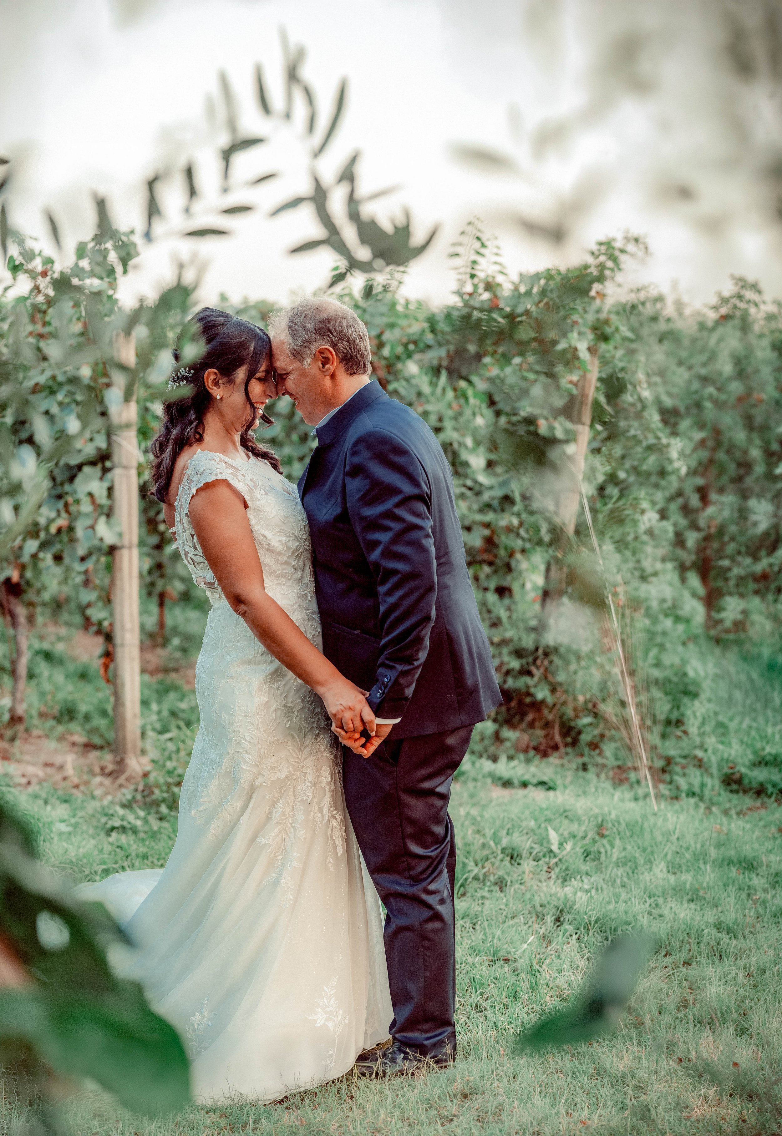 A bride and groom standing close together outdoors, touching foreheads and holding hands, in a vineyard with green foliage.