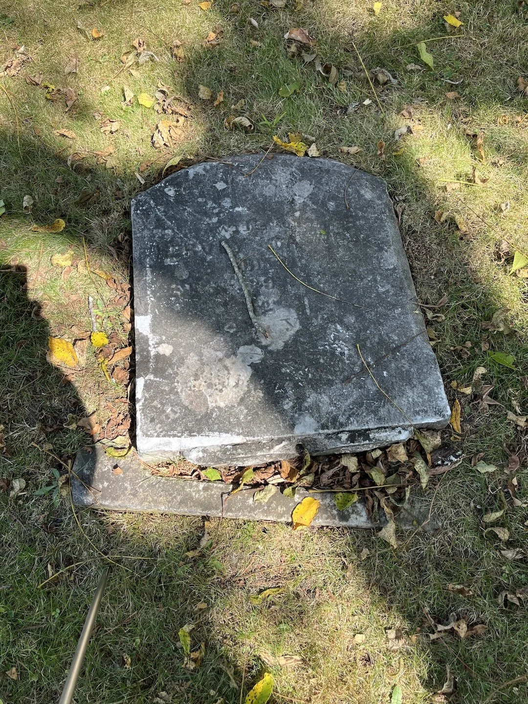herveycaswellbefore.jpeg