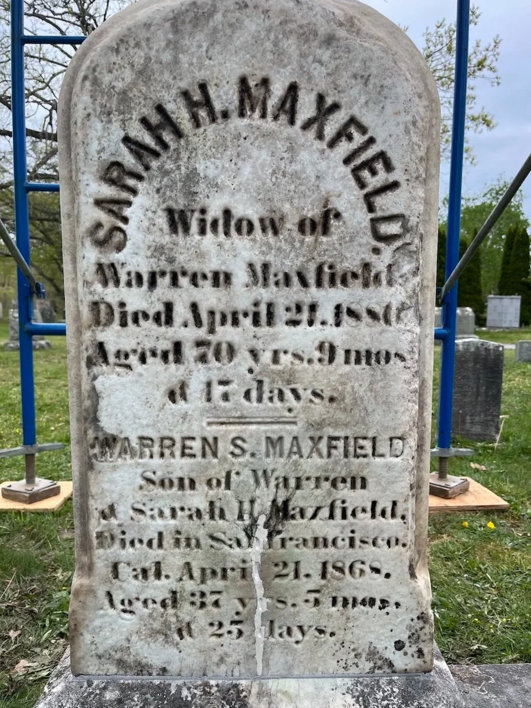 sarahmaxfieldprogress2.jpg