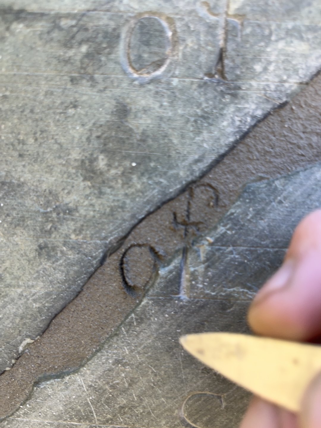 nancystoddarddetail.JPG