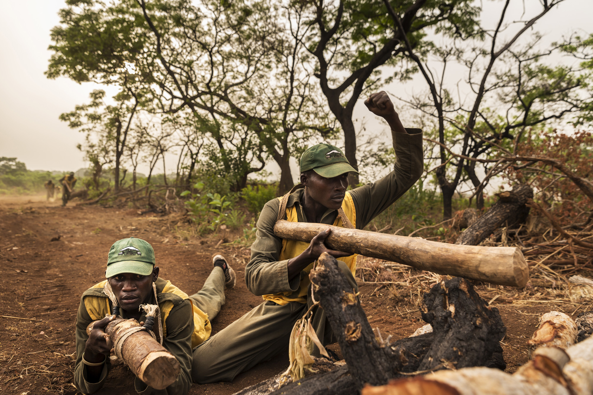 CHINKO, CENTRAL AFRICAN REPUBLIC, MARCH 2015: New Rangers train to protect elephants in Chinko, a remote last haven for forest elephants in CAR. These rangers are up against experienced Sudanese poachers as well as local Seleka fighters who prey up