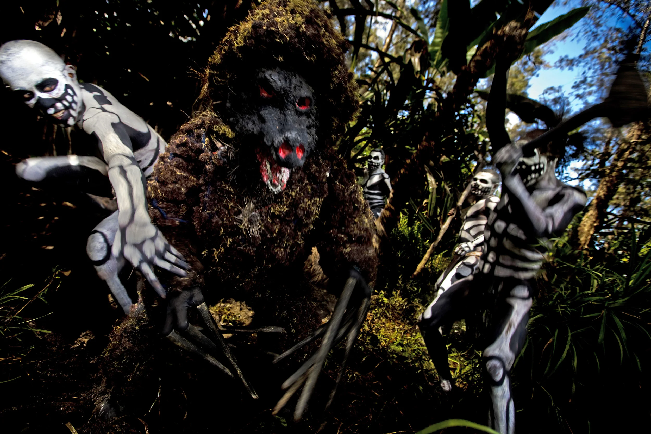 MINDIMA VILLAGE, CHIMBU PROVINCE, HIGHLANDS, PAPUA NEW GUINEA-DECEMBER 2008: A Papua New Guina highland tribal ceremony depicting images of "Spirit Men," also known as "Skeleton Men" attacking an evil forest Spirit known locally as the Omo Masalai,
