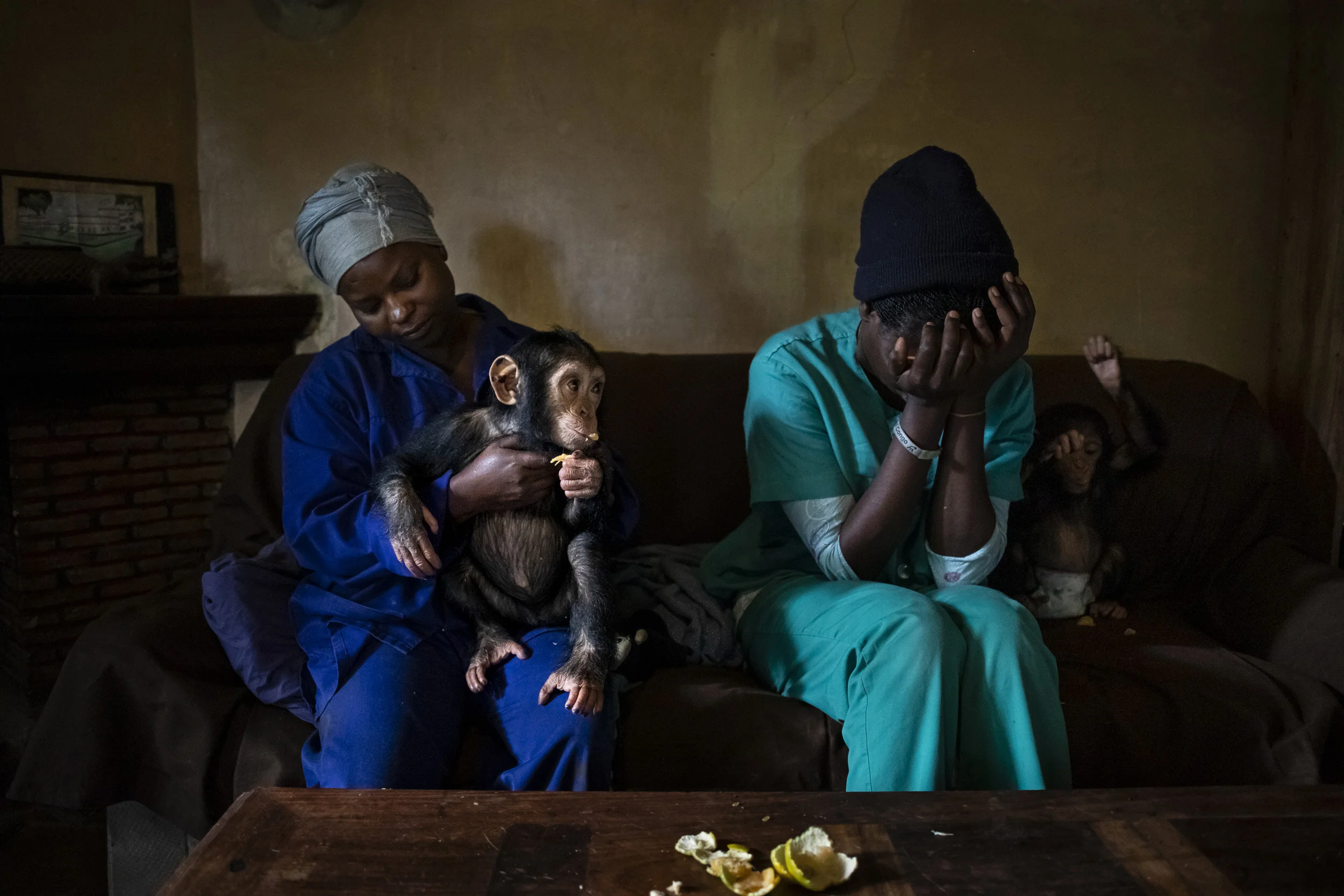LWIRO, EASTERN DEMOCRATIC REPUBLIC OF CONGO, 26 NOVEMBER 2019: Nina Nturubika, 35, in green scrubs, is a Congolese vet working with the Lwiro Chimpanzee rescue center and sanctuary. Flores, in blue, is a recently employed care-giver who is learning