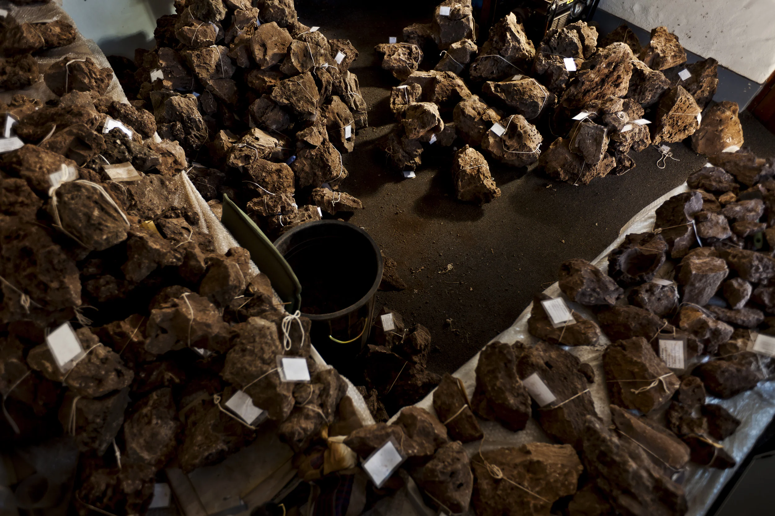 JOHANNESBURG, SOUTH AFRICA, OCTOBER 2010: Excavators from the Sediba hominid project at Wits University go through rock matrix extracted from a fossil site looking for evidence of hominid remains, Johannesburg, South Africa, 4 October, 2010. The Se