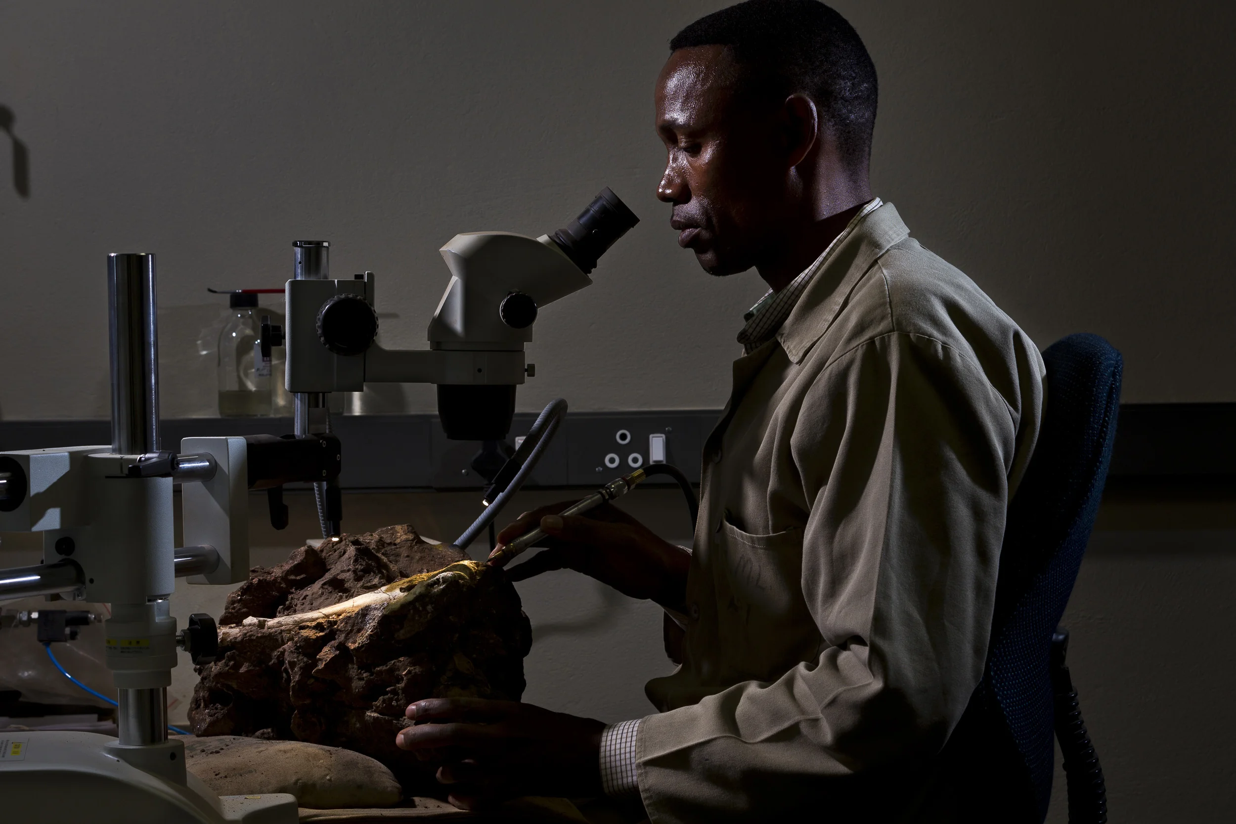 JOHANNESBURG, SOUTH AFRICA, OCTOBER 2010: Preperation Lab Technicans at Wits University Paleo Sciences department extract new hominid fossil finds from rock matrix found at the Malapa hominid project side, Johannesburg, South Africa, 6 October, 201