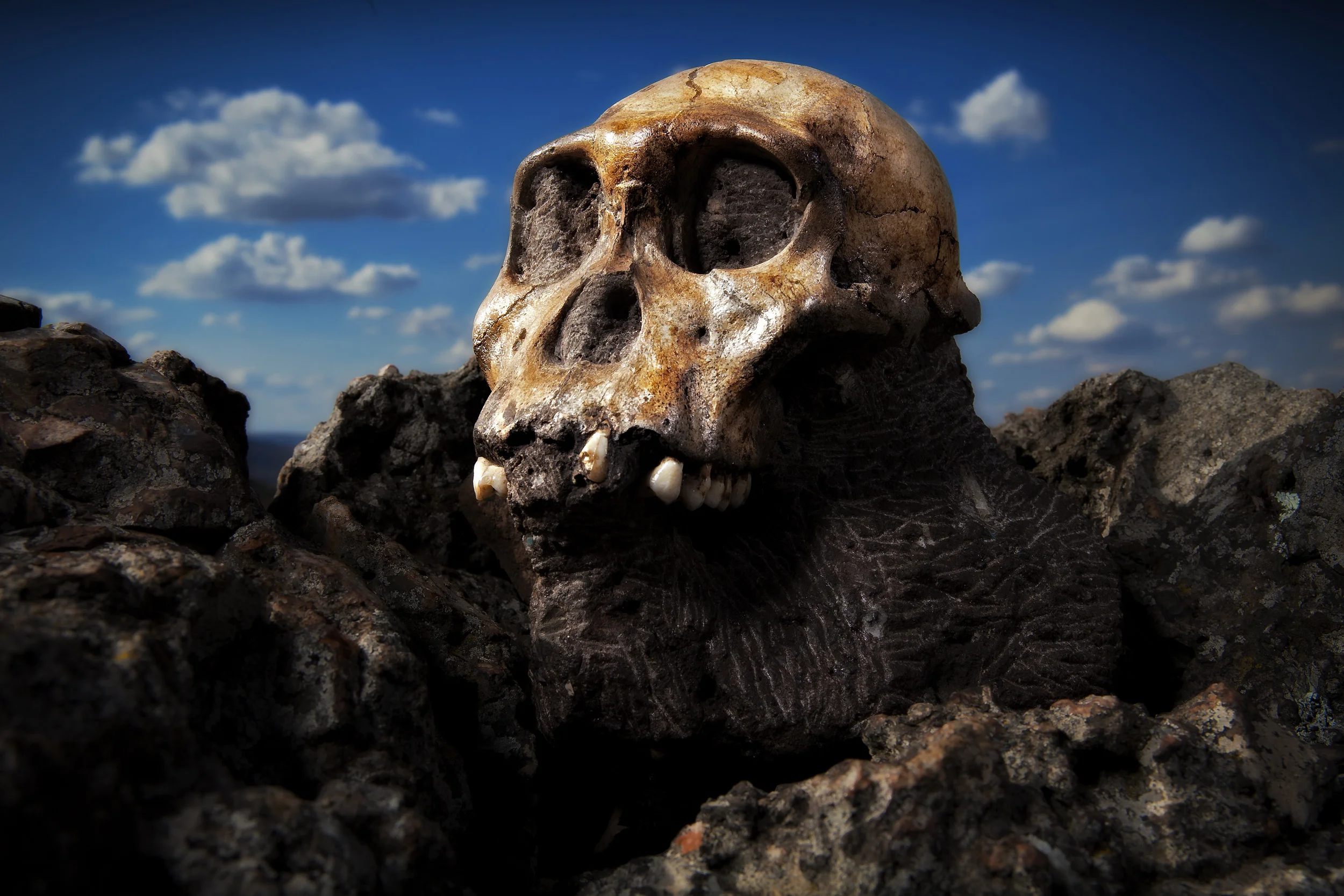 MalapaFinds_001.jpg