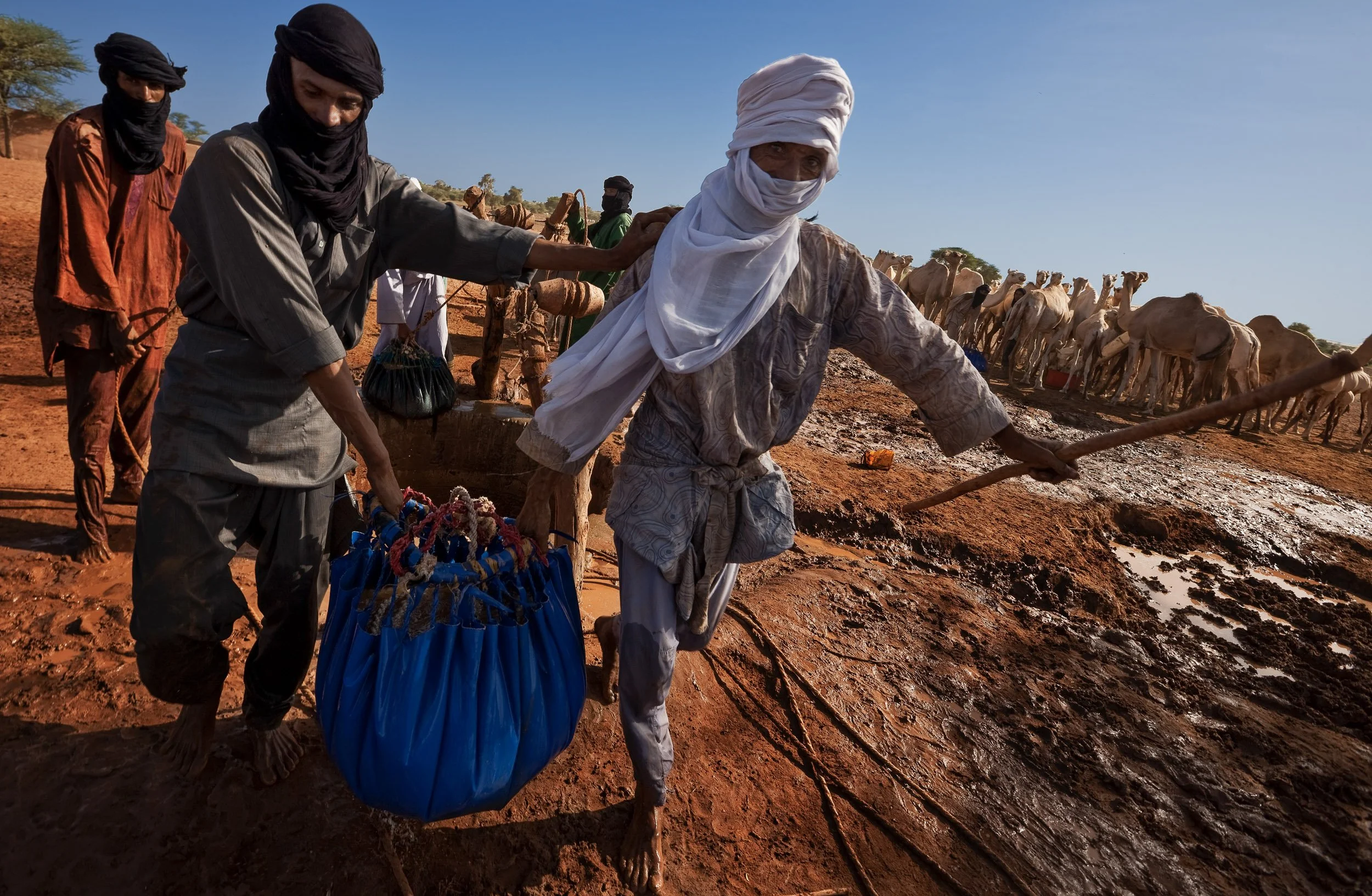 INGAL, NIGER, OCTOBER 2009: Early morning scenes at a water well used by a number of nearby Tuareg Nomad camps, Ingal Region, Niger, 04 October 2009. Tuareg Nomads have two traditional priorities, their animals and access to water. This group has mo