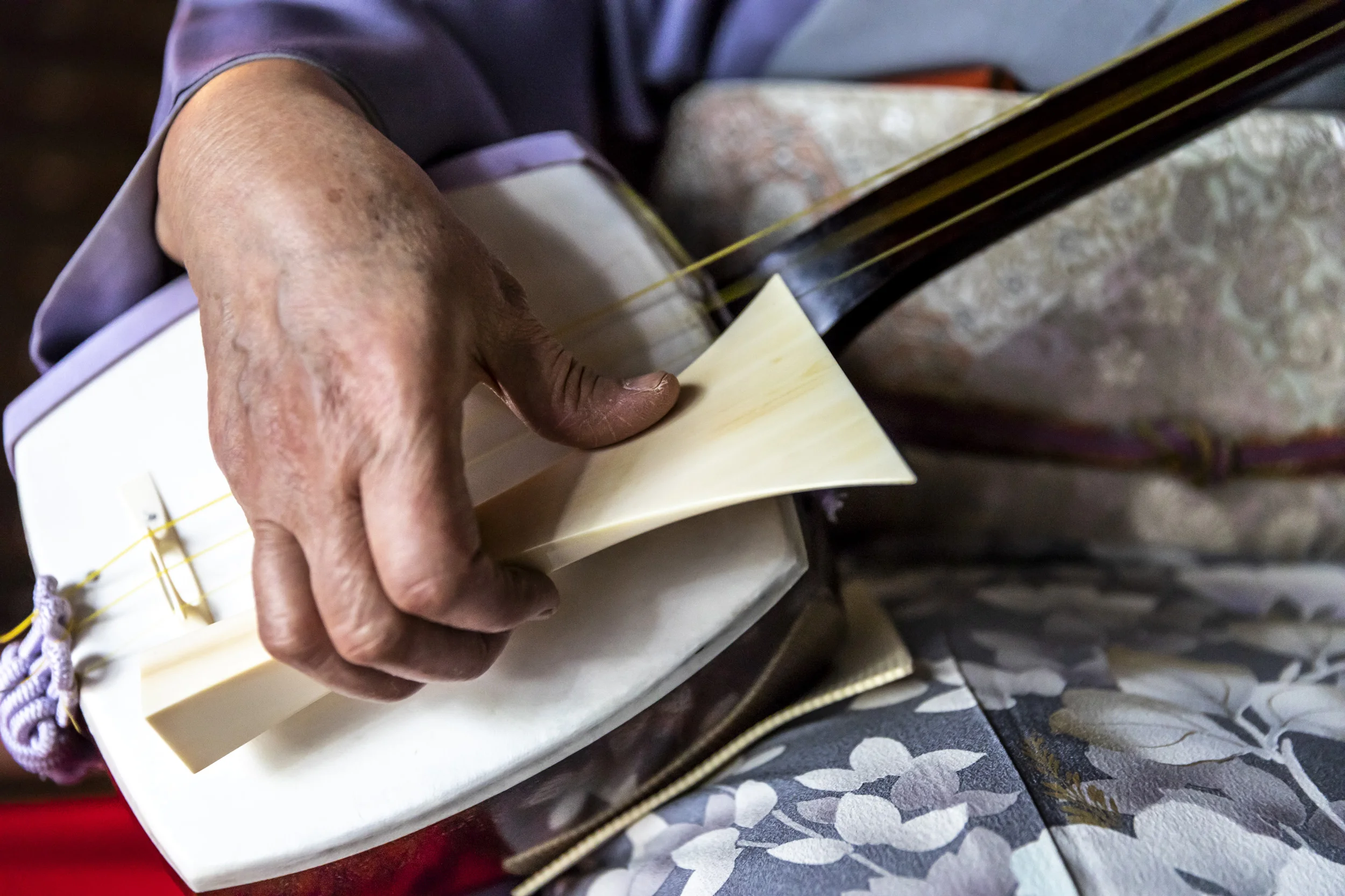 Tokyo, Japan, April 2018: A Oneisan practices with her Shamisen at the Asakusa Kenban where Geisha shows are held for clients. The bridge of the Shamisen is made of ivory and the plectrum , known as a Bachi, is also made of ivory and is said to crea