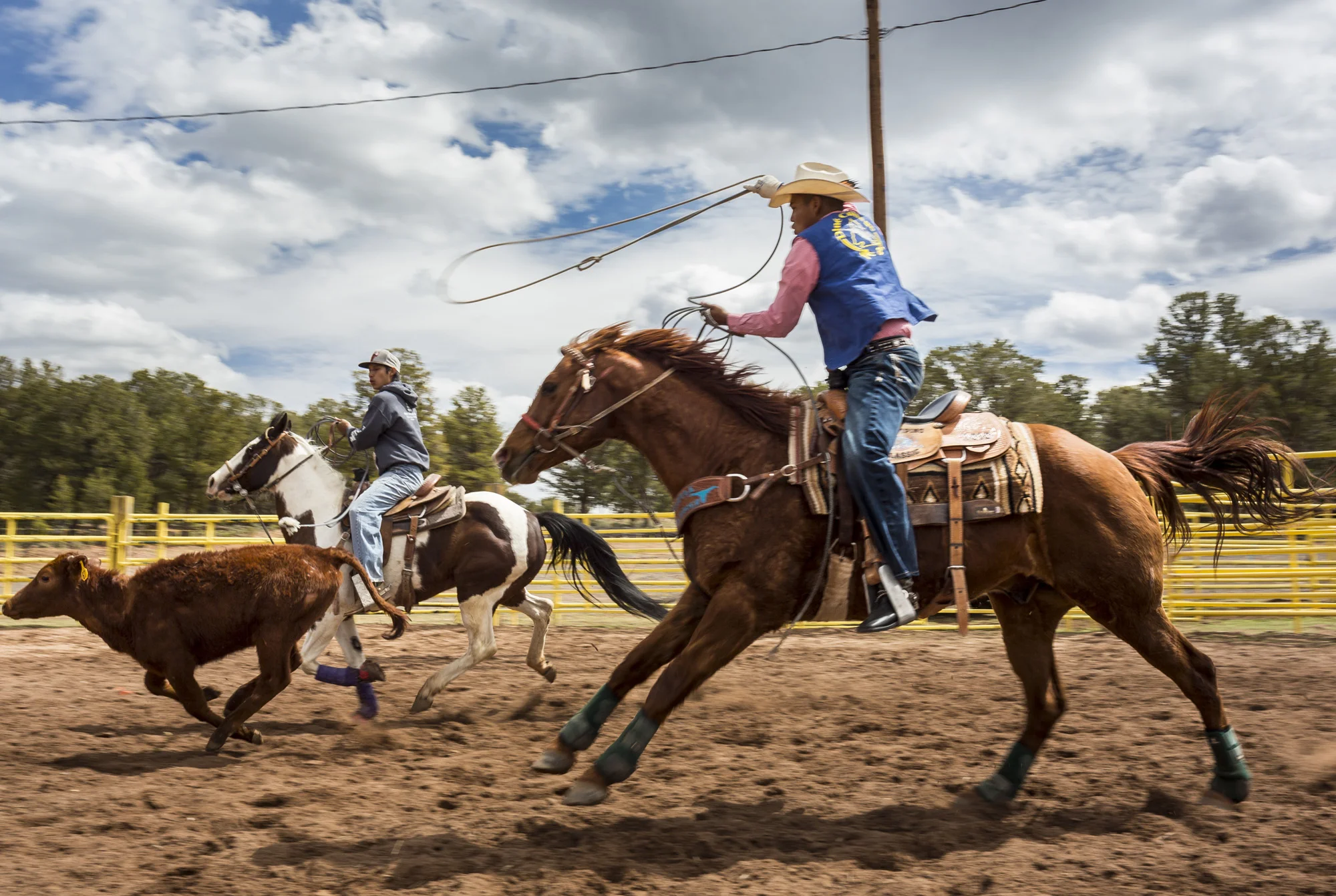 TSAILE, ARIZONA, 4 APRIL 2014: The Dine College Rodeo team at practise, Tsaile Arizona. Dine College is the first tribally controlled college in the United States. Their educational philosophy is grounded in the traditional Navajo outlook on life an