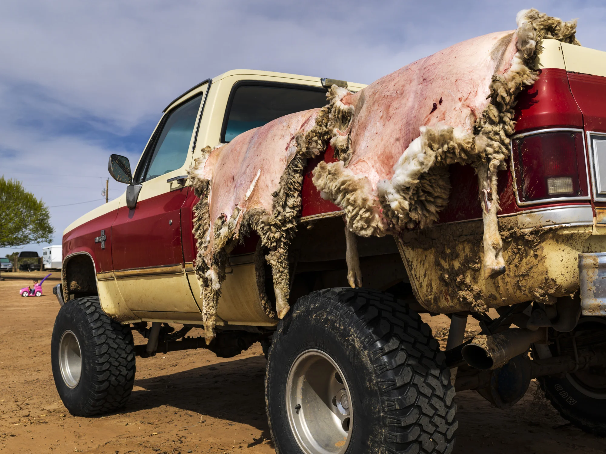 PINON, NAVAJO NATION, ARIZONA, 9 APRIL 2014: Fresh Sheep skins signal Wedding preparations on a farm close to the economically depressed area of Pinon, Arizona. (Photo by Brent Stirton/Rpeortage for Le Figaro.)