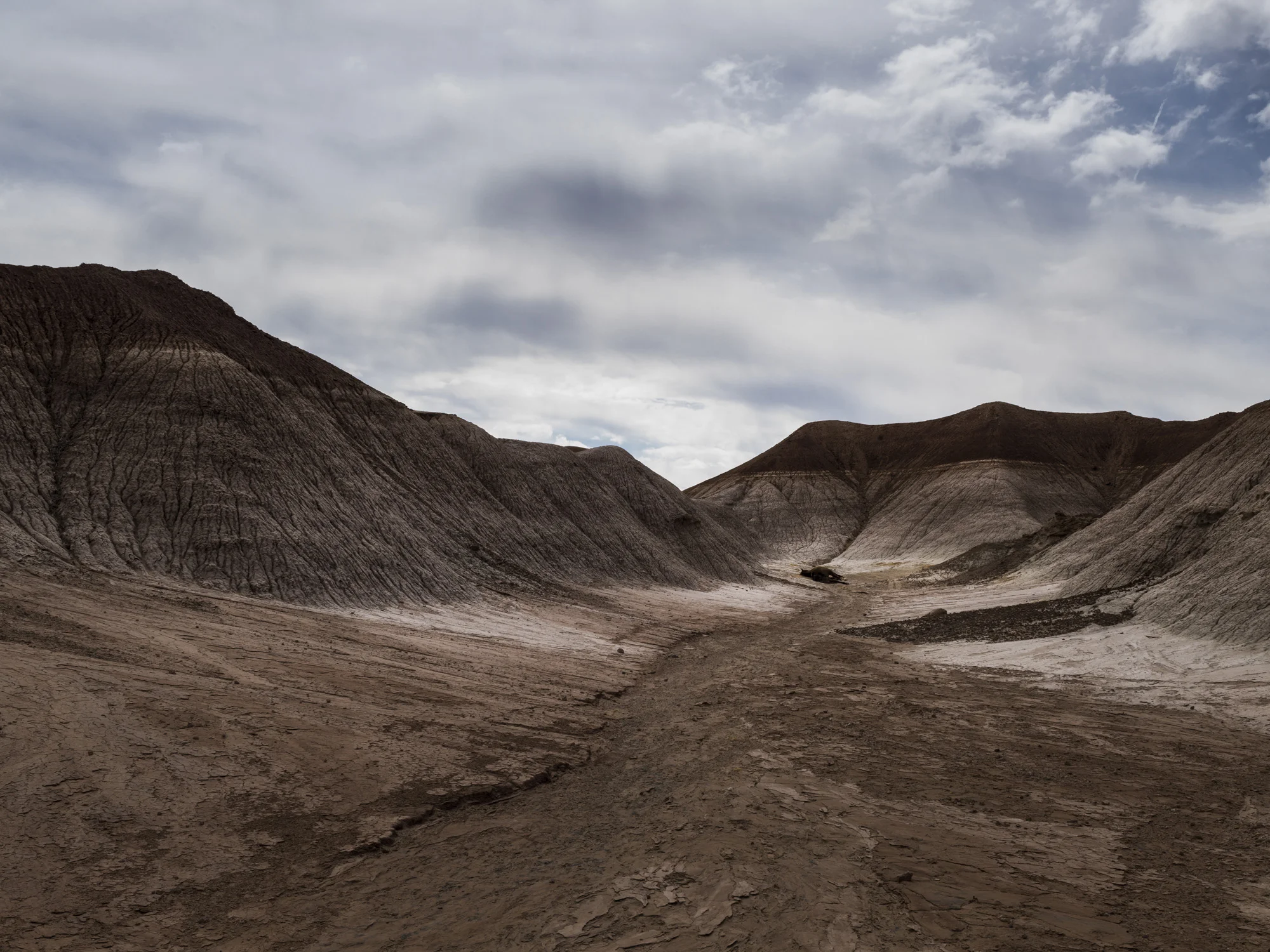CAMERON, ARIZONA, 16 APRIL 2014: A dead wild horse lies mysteriously at the end of a small canyon in the badlands of Cameron, Arizona. (Photo by Brent Stirton/Reportage for Le Figaro Magazine.)
