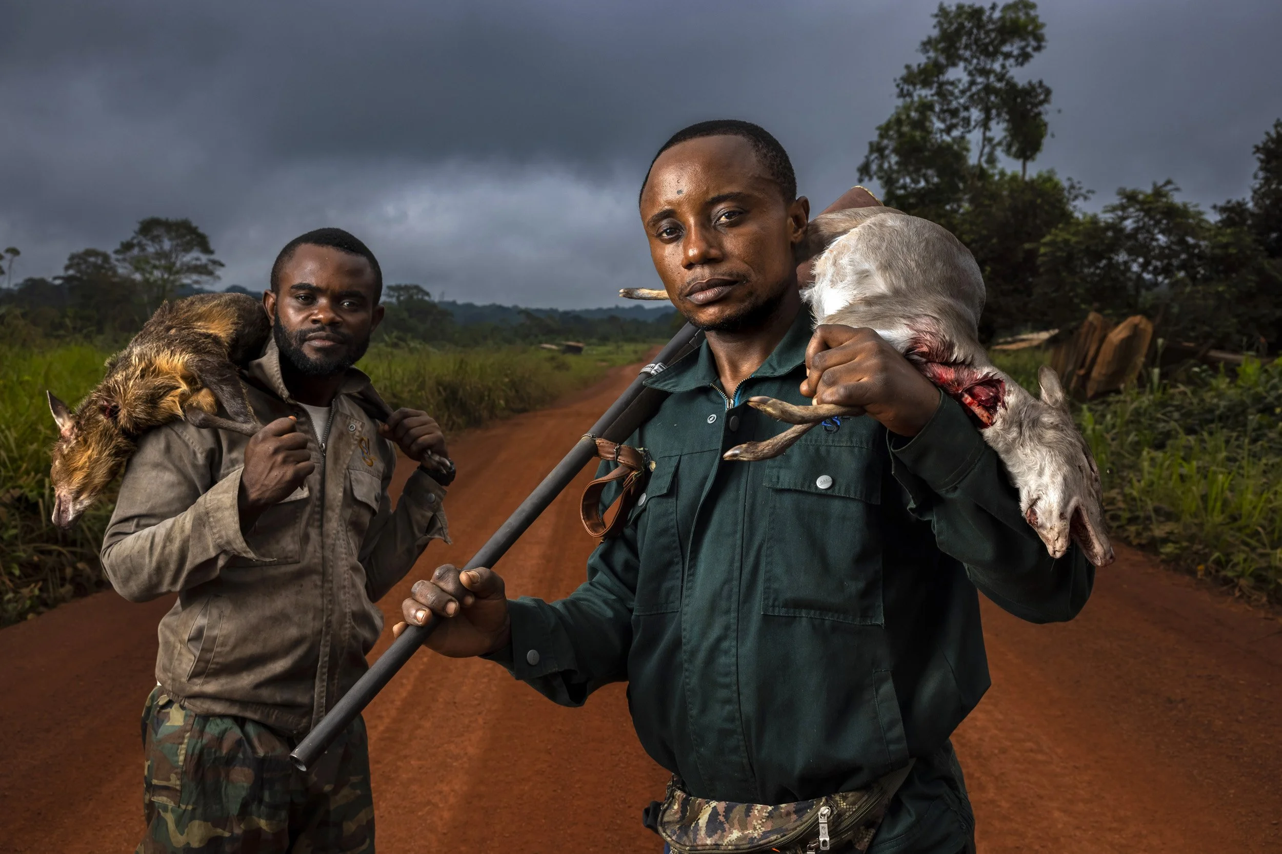 VILLAGE NDAMBI, AREA OF LASTOURSVILLE, GABON, 30 JUNE 2021: Brenteh Ngogne and Davy Lindzondzo are bushmeat hunters , they are seen with the Duiker and Antelope they killed the previous night in the forest around the village of Ndambi, one of a numb