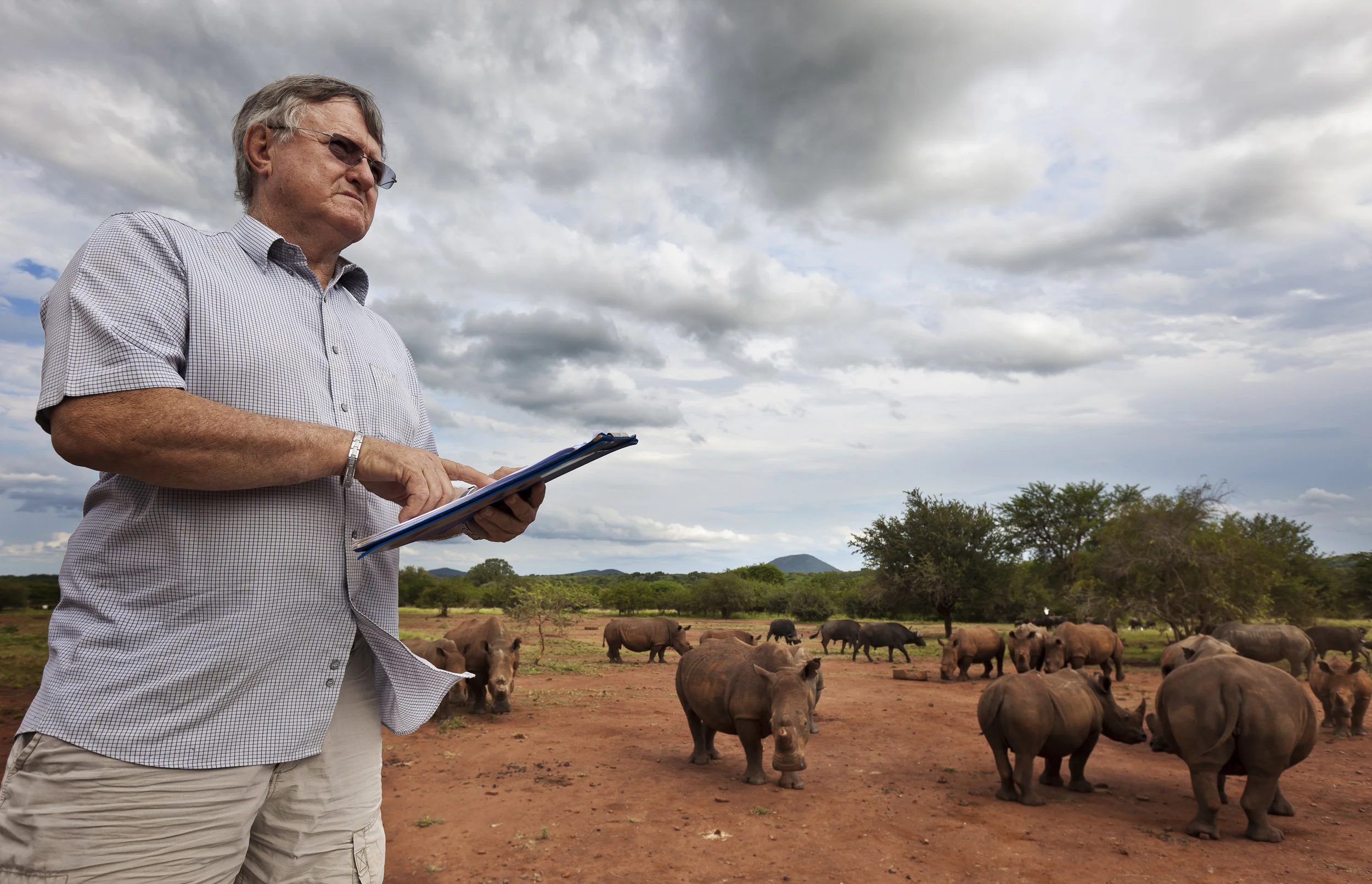 NELSPRUIT, NORTH EAST SOUTH AFRICA, MARCH 2011: The world's largest White Rhino breeder, John Hume, 69, looks out at a few of his 500 plus White Rhino as they come in from grazing on his 6500 Hectare ranch for a daily snack of lucerne mixed with gam