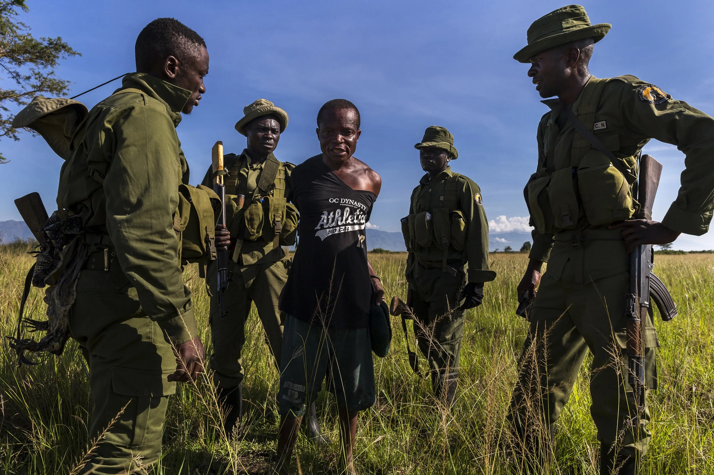 VITSHUMBI, VIRUNGA NATIONAL PARK, DR CONGO, 17 MAY 2015: ICCN conservation rangers discover a poaching camp inside Virunga NP and then capture one of three poachers who have been using this place to poach animal illegally inside Virunga. (Photo by B