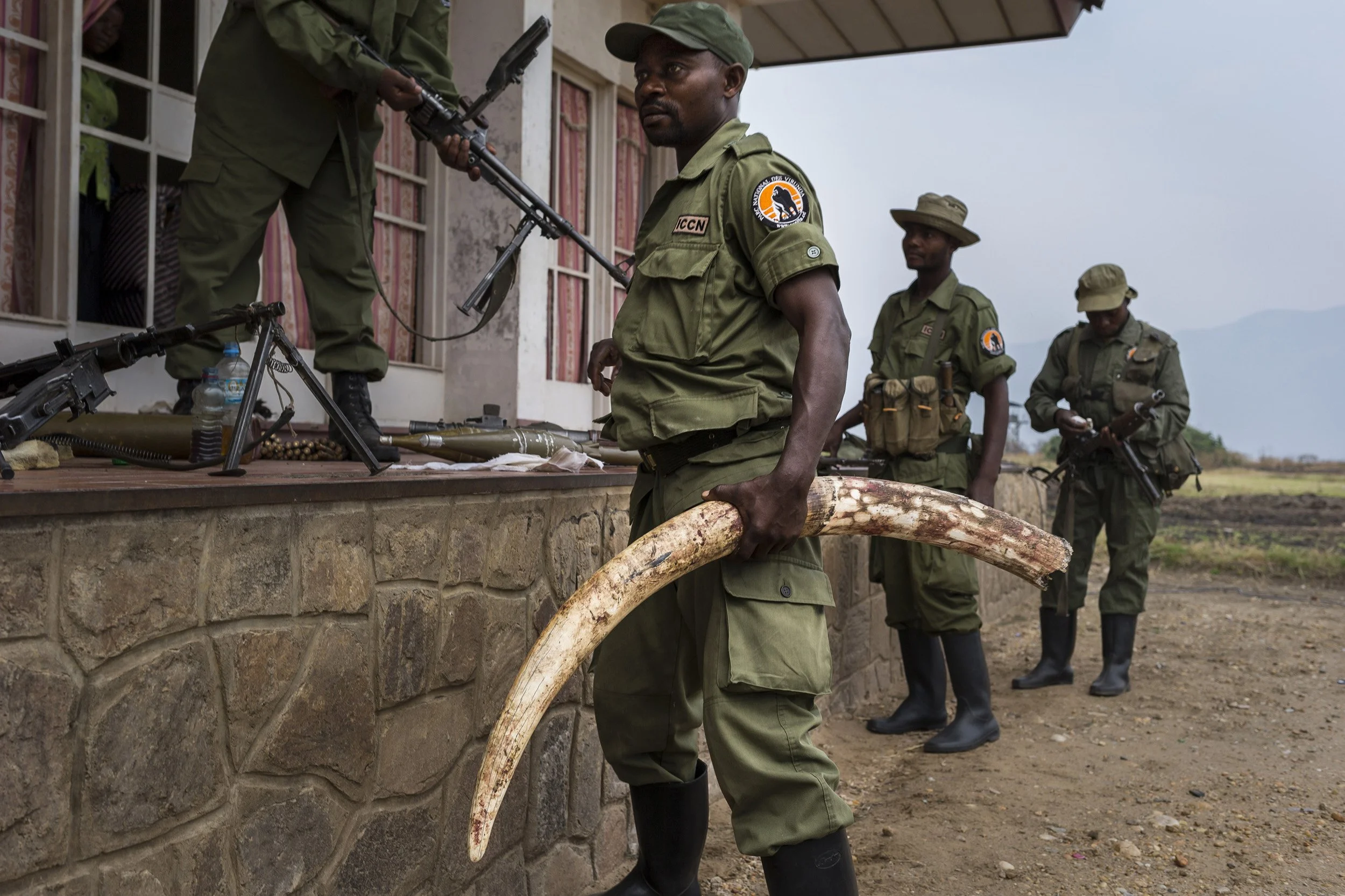 RWINDI, VIRUNGA NATIONAL PARK, EASTERN DEMOCRATIC REPUBLIC OF CONGO, 24 JULY 2014: ICCN conservation Rangers prepare their weapons for a patrol against illegal Virunga inhabitants the Hutu militia group FDLR at the the Rwindi Ranger post inside Viru