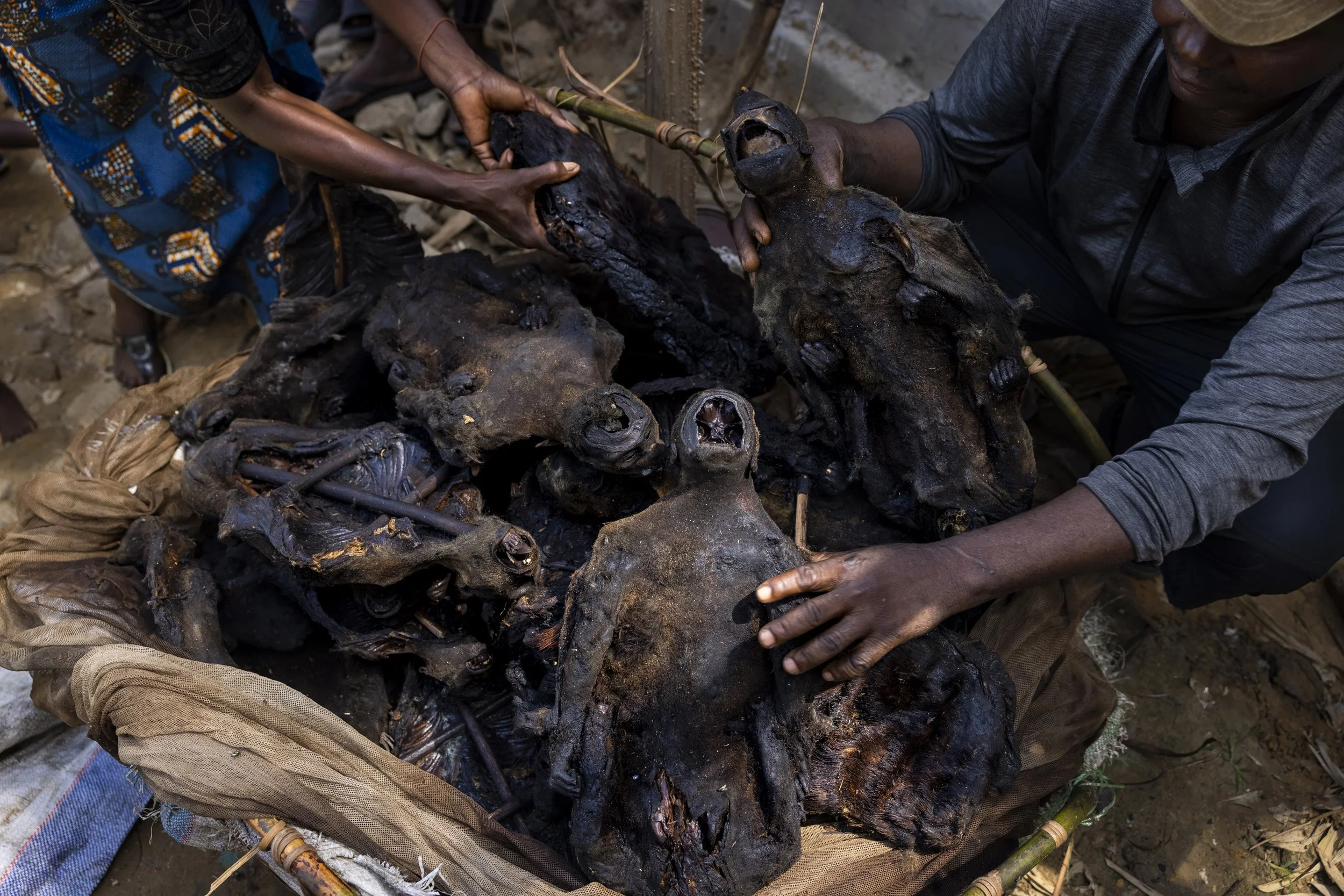 KINSHASA, DEMOCRATIC REPUBLIC OF CONGO: A man and his wife unpack a bushmeat package of 54 monkeys that they have just unloaded from a boat in Maluku port. There are two different species. The couple say they have a shotgun with relatives in the Equ