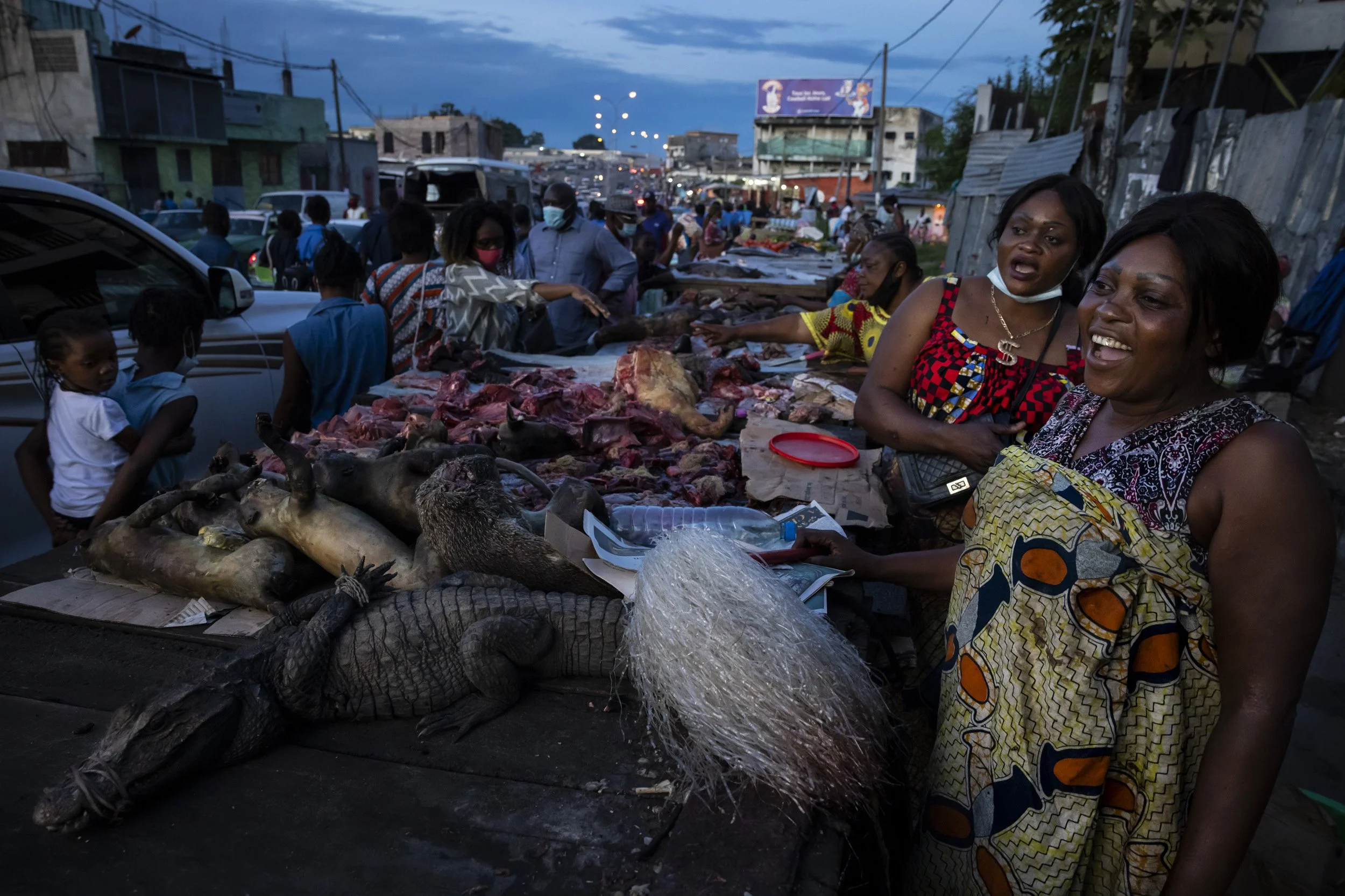 BRAZZAVILLE, REPUBLIC OF CONGO: Women are seen selling a variety of bushmeat at a night market in Brazzaville. The trafficking of wildlife to cities to meet non-essential demand for bushmeat poses a major threat to many Central African species. As u