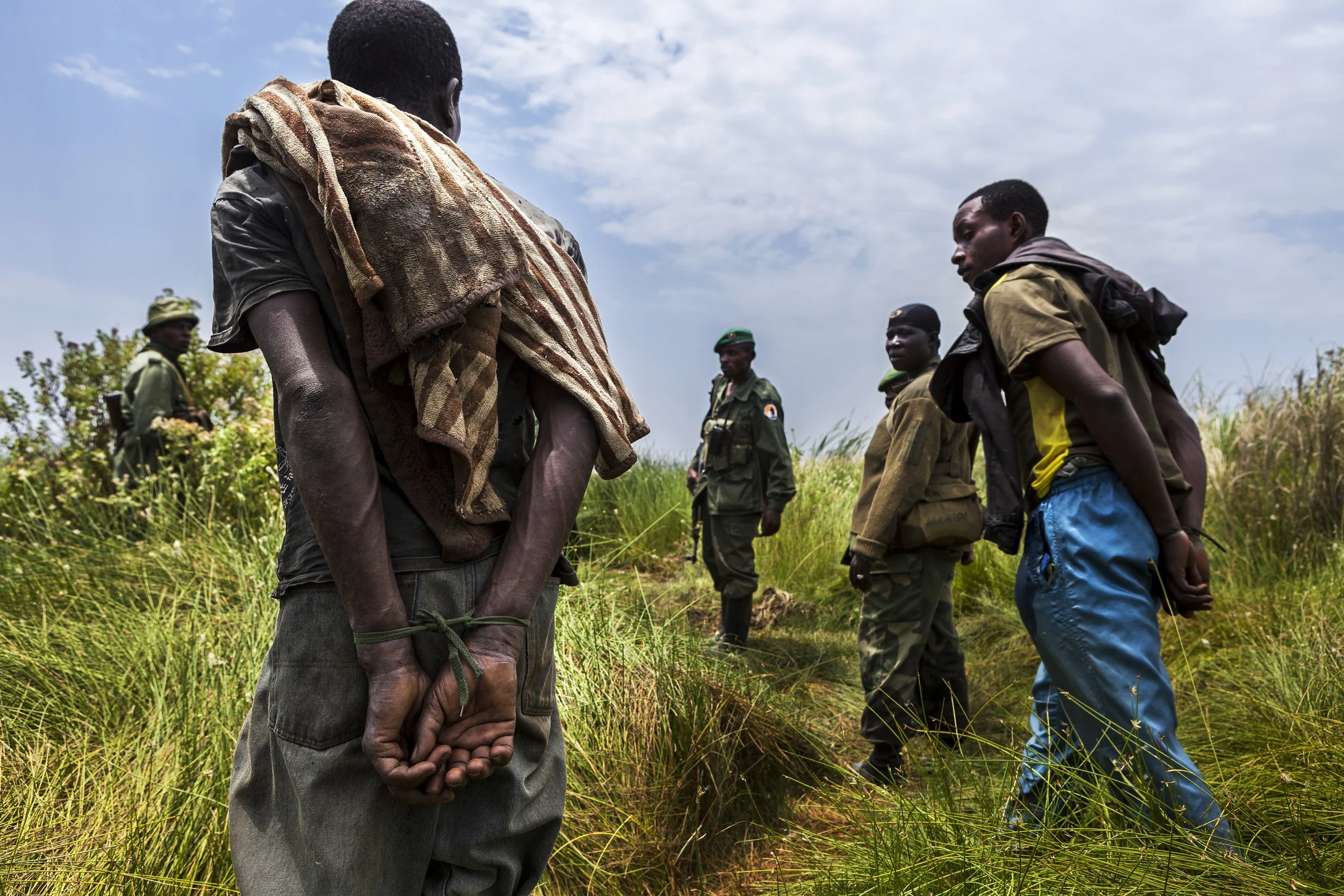 CHONDO, VIRUNGA NATIONAL PARK, DEMOCRATIC REPUBLIC OF CONGO: ICCN Congolese conservation rangers capture poachers suspected of killing an elephant. Many of these poachers are involved in this activity due to poverty, others are there to supply the